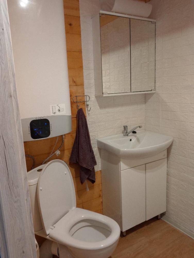Chaloupka u potůčku