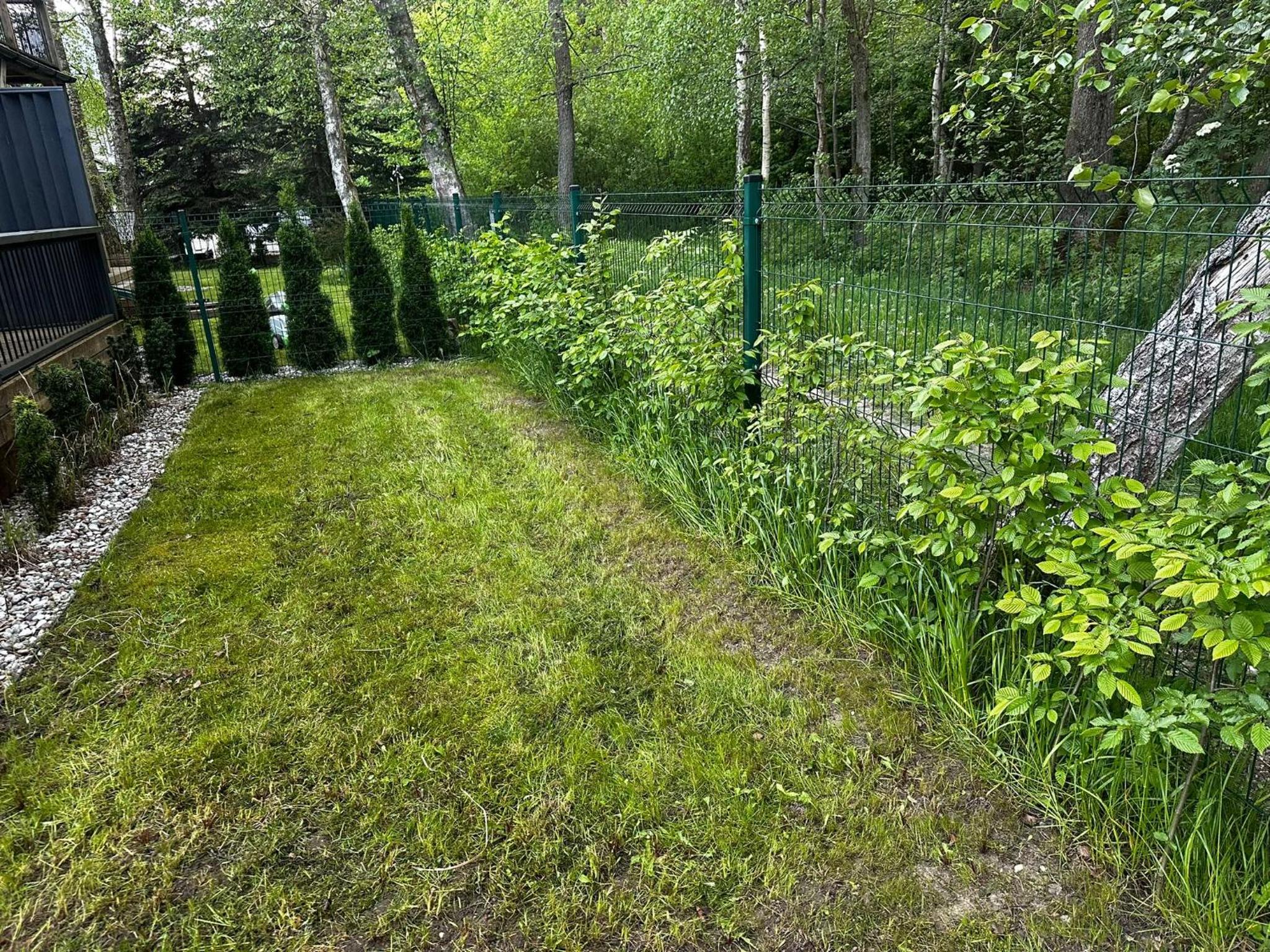 Photo 32