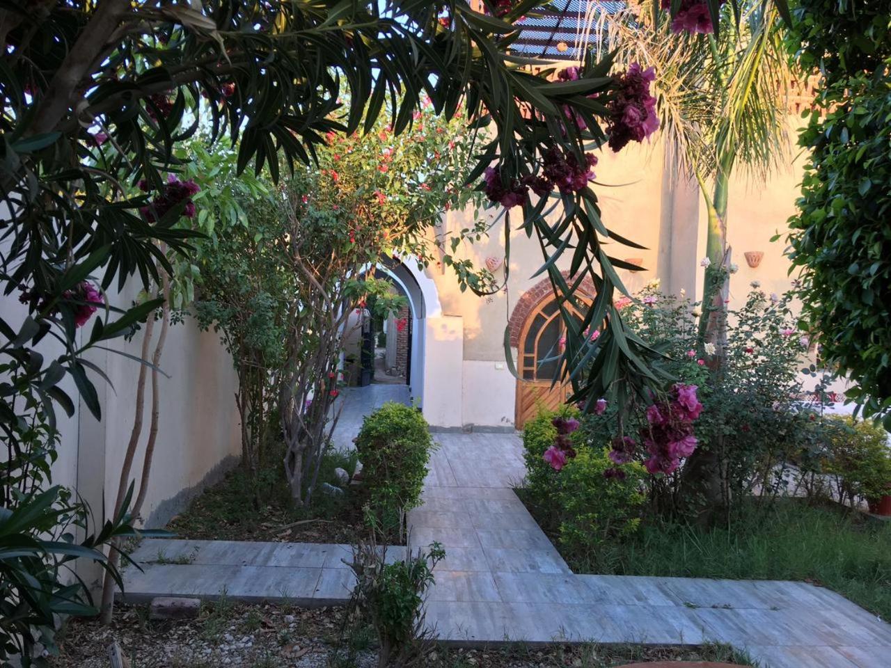 Garden view guest house