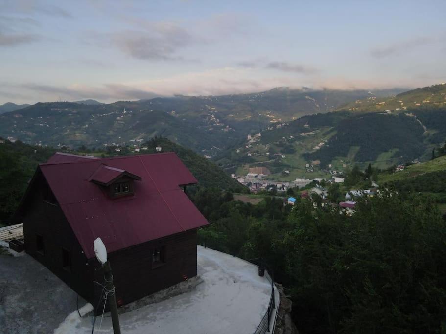 Trabzon'da Lüx Ağaç Ev view 2