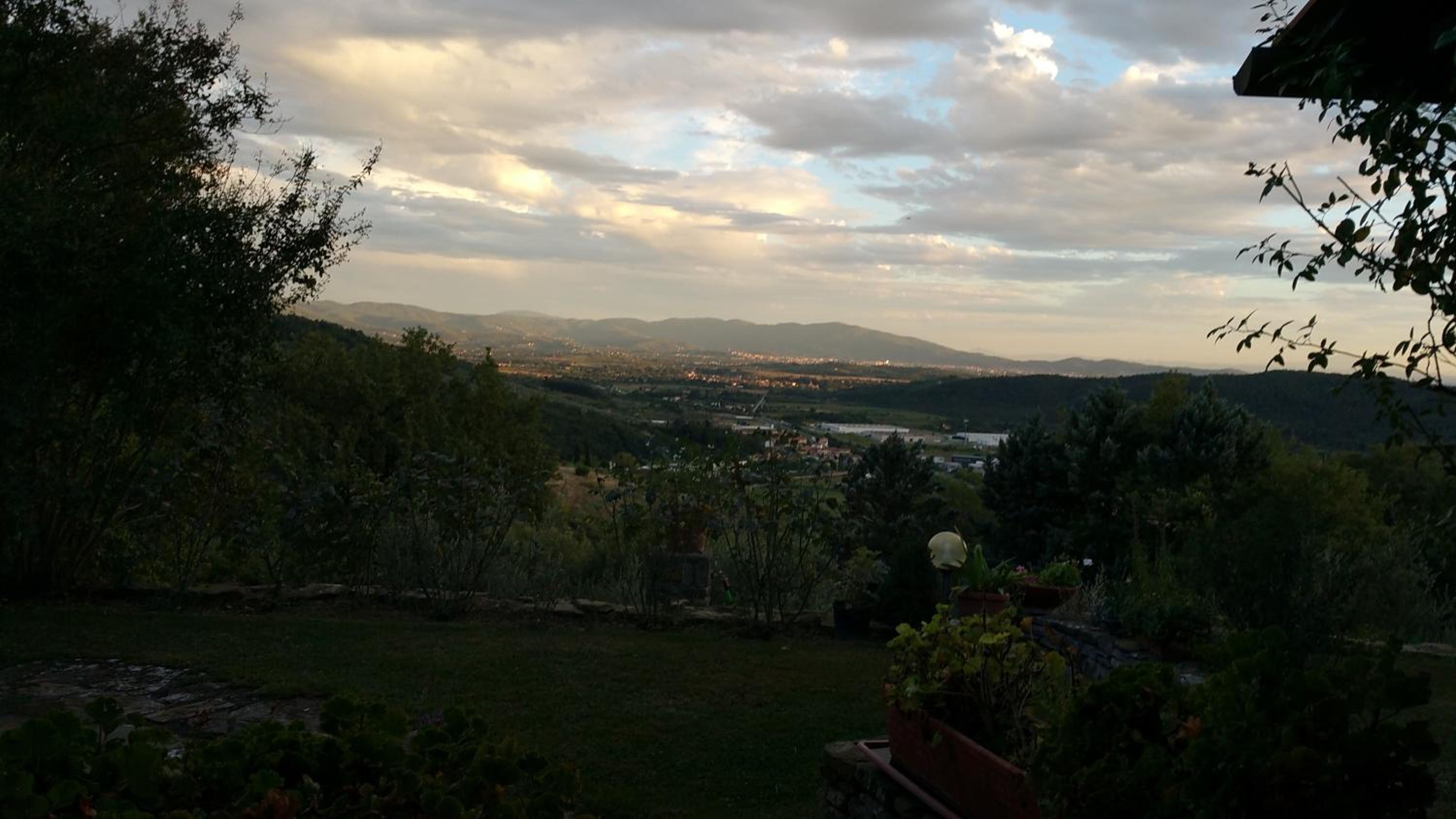 Photo 41