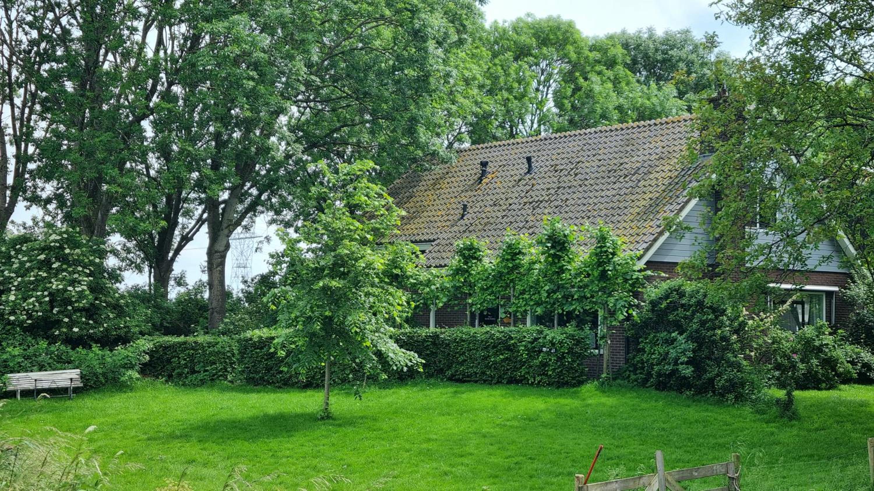 Bed, Bikes and Breakfast, City Farmer Amsterdam a Guesthouse with Free Parking