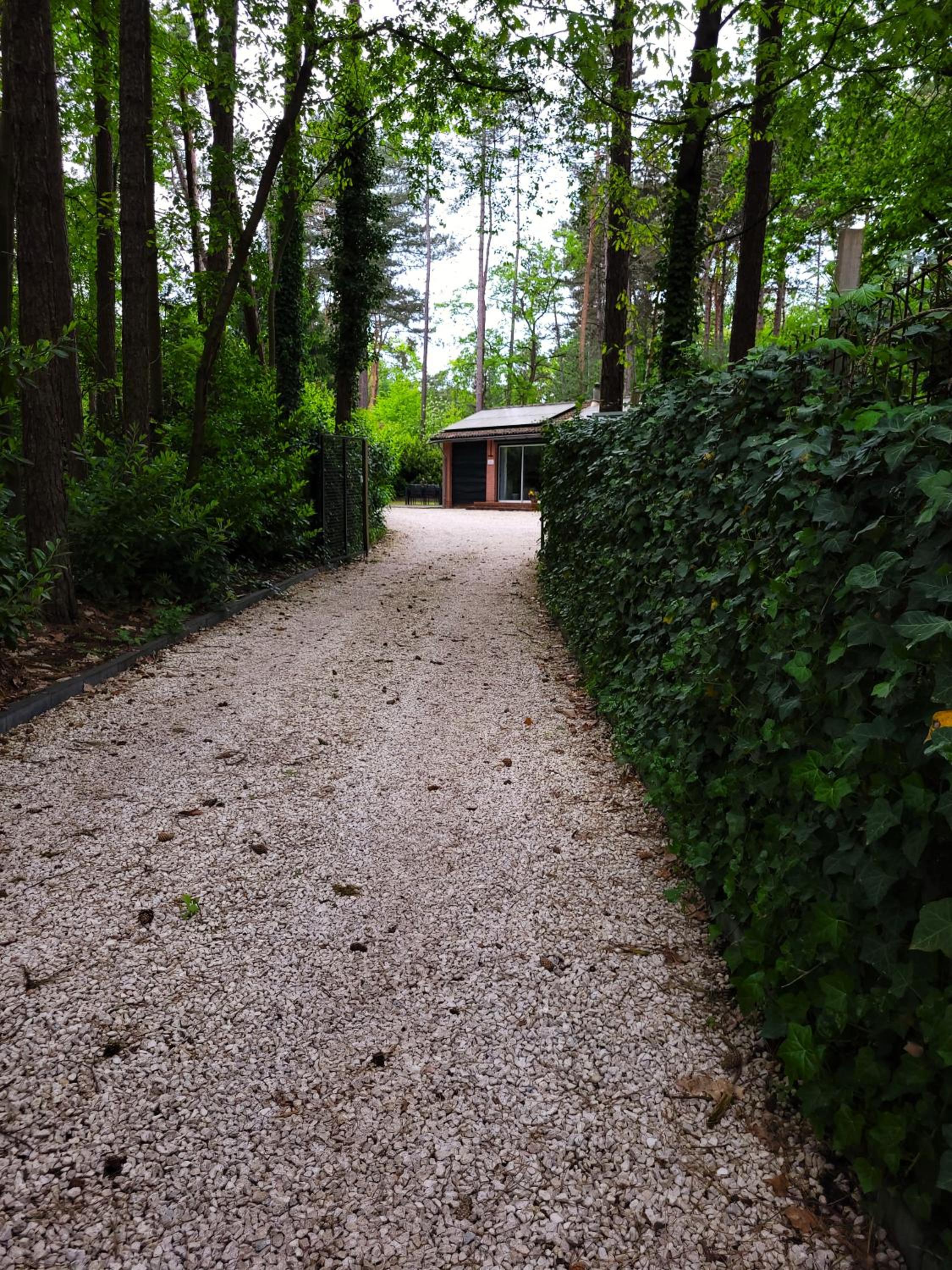 Secret Wellness Boszicht view 2