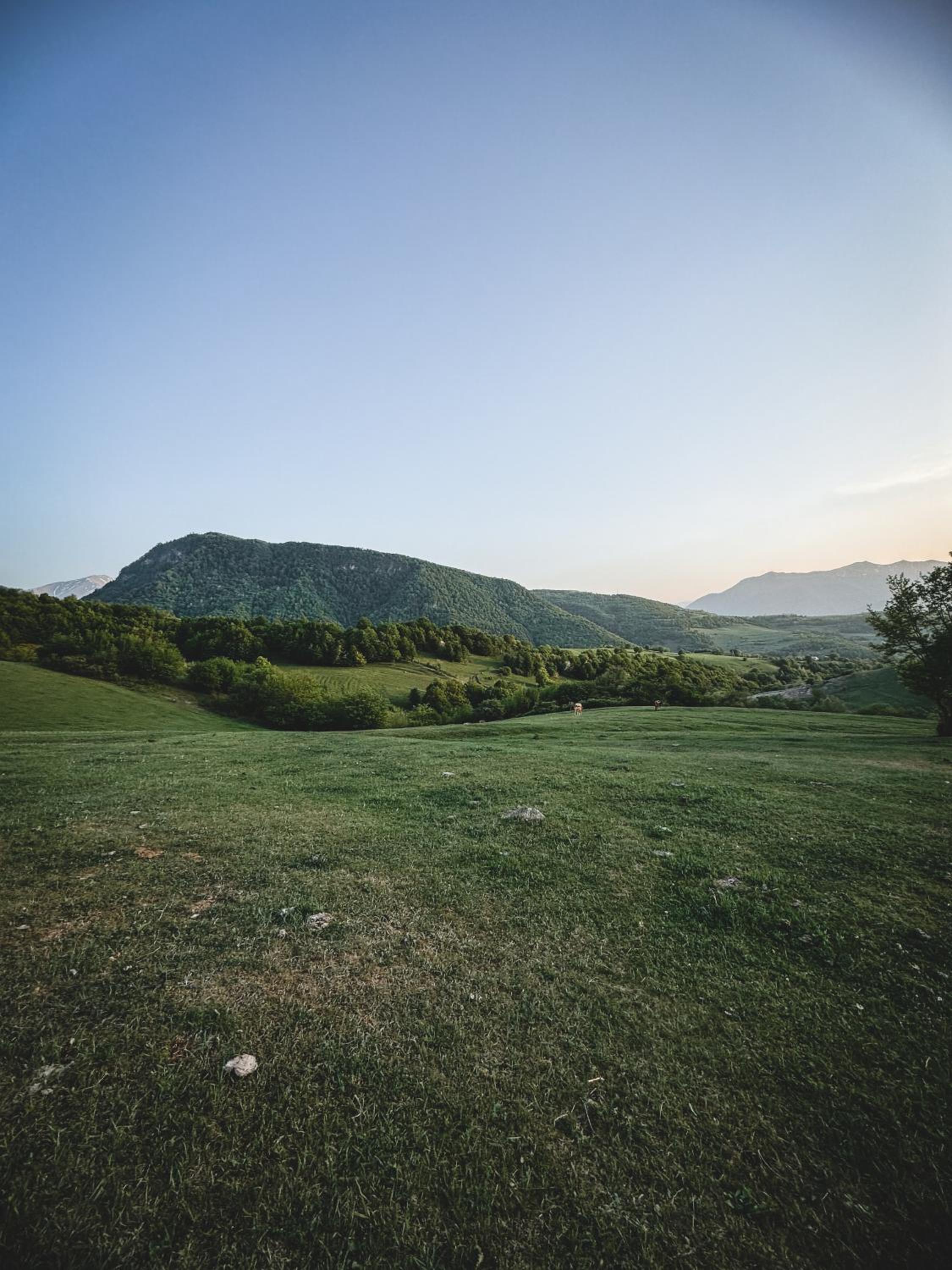 Debed Hillside