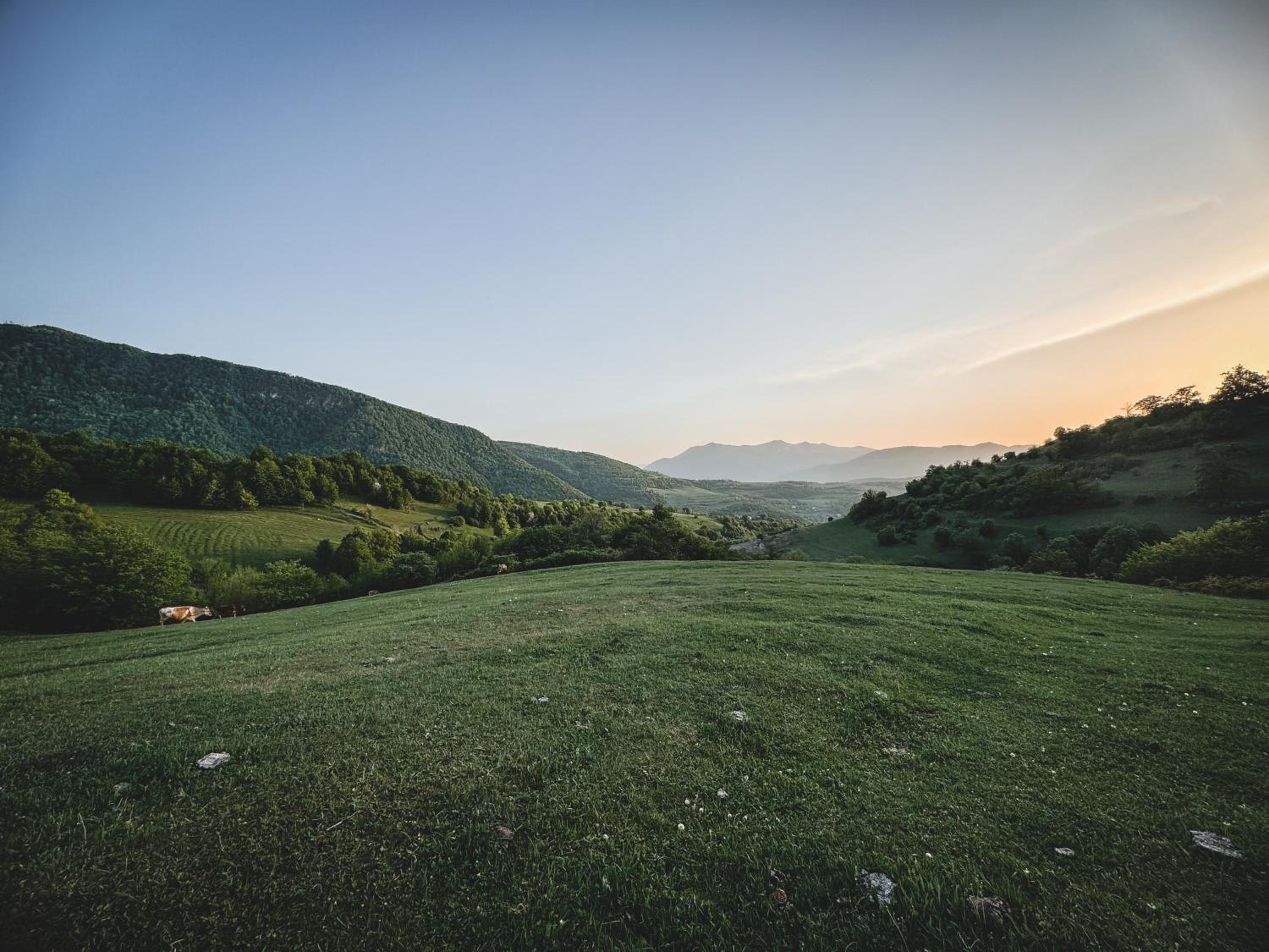 Debed Hillside