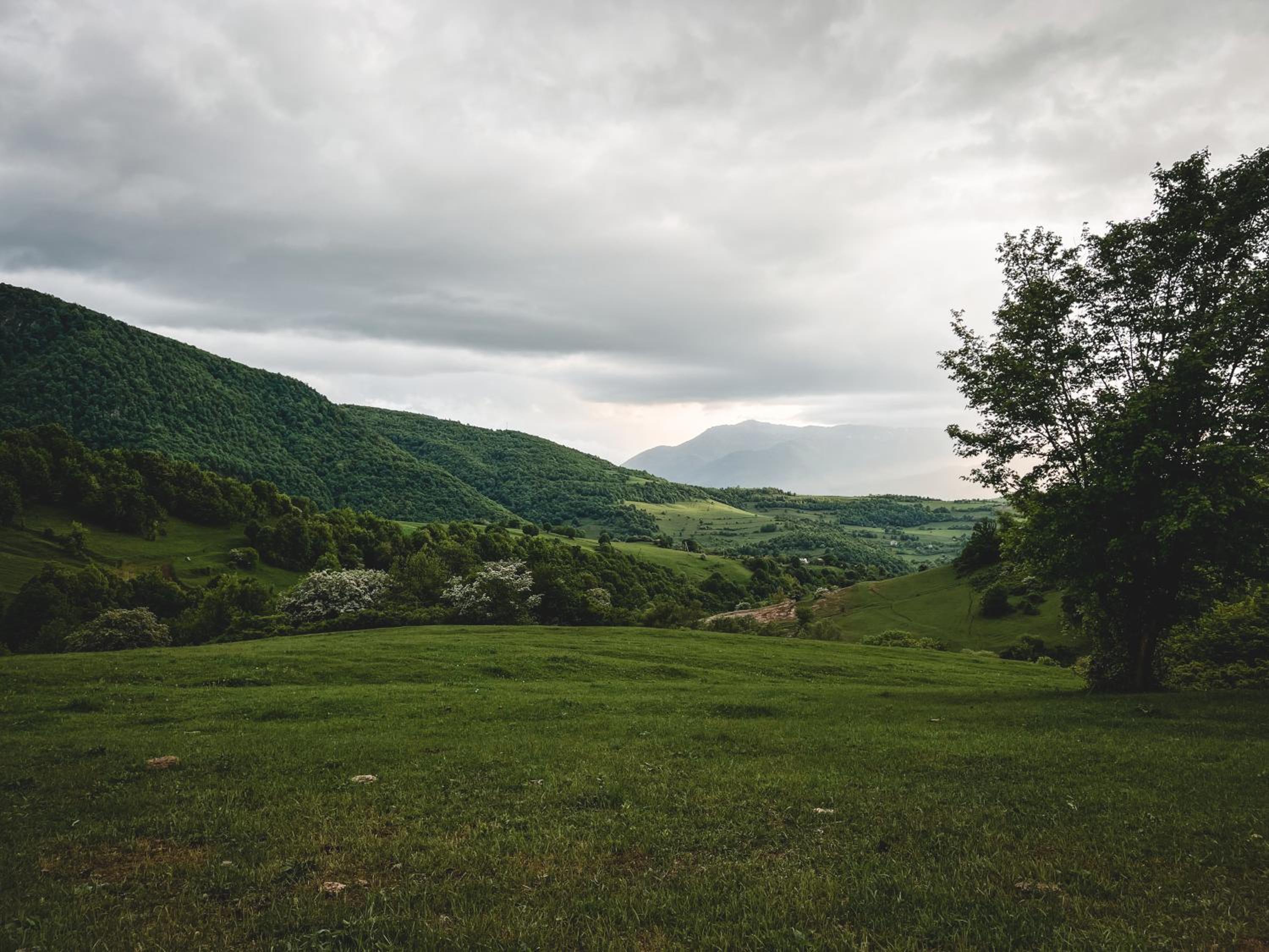 Debed Hillside