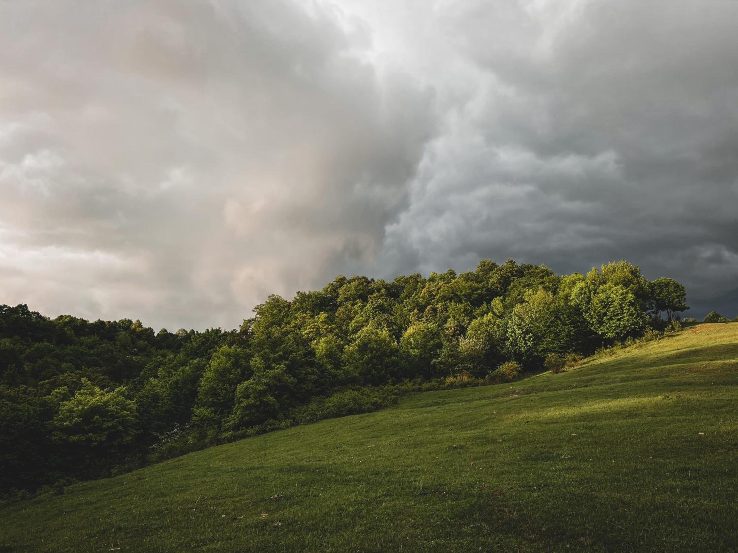 Debed Hillside
