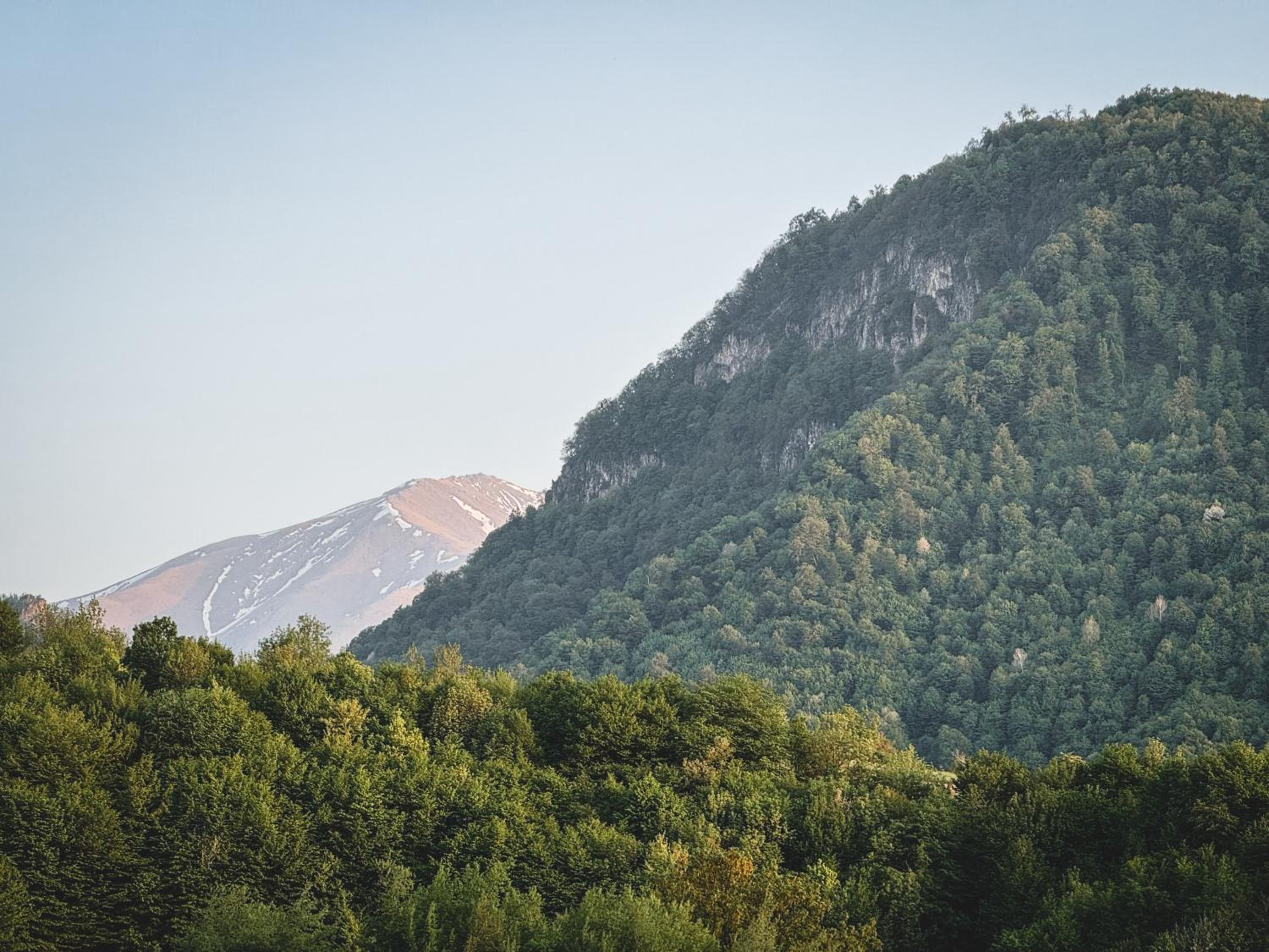 Debed Hillside