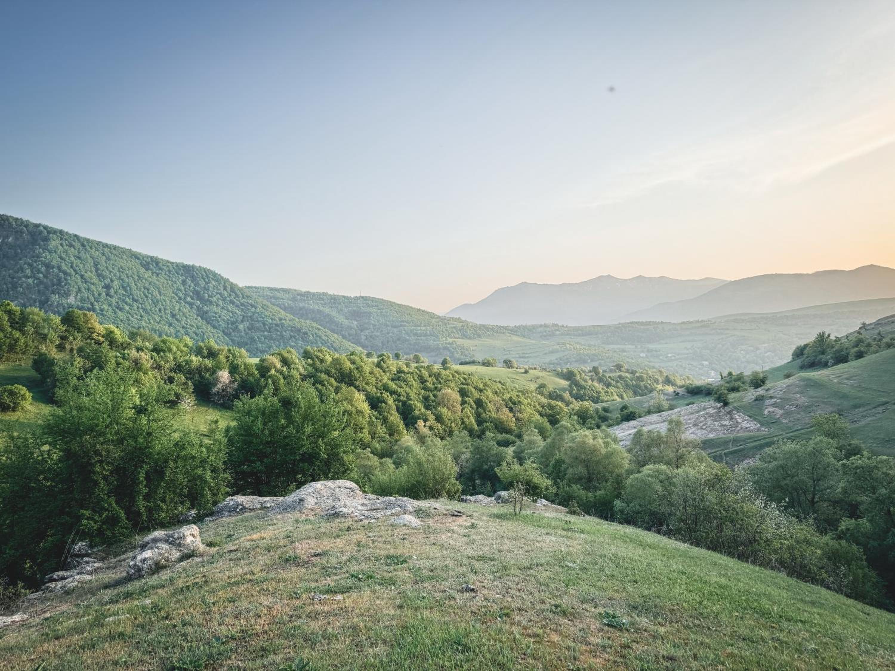 Debed Hillside