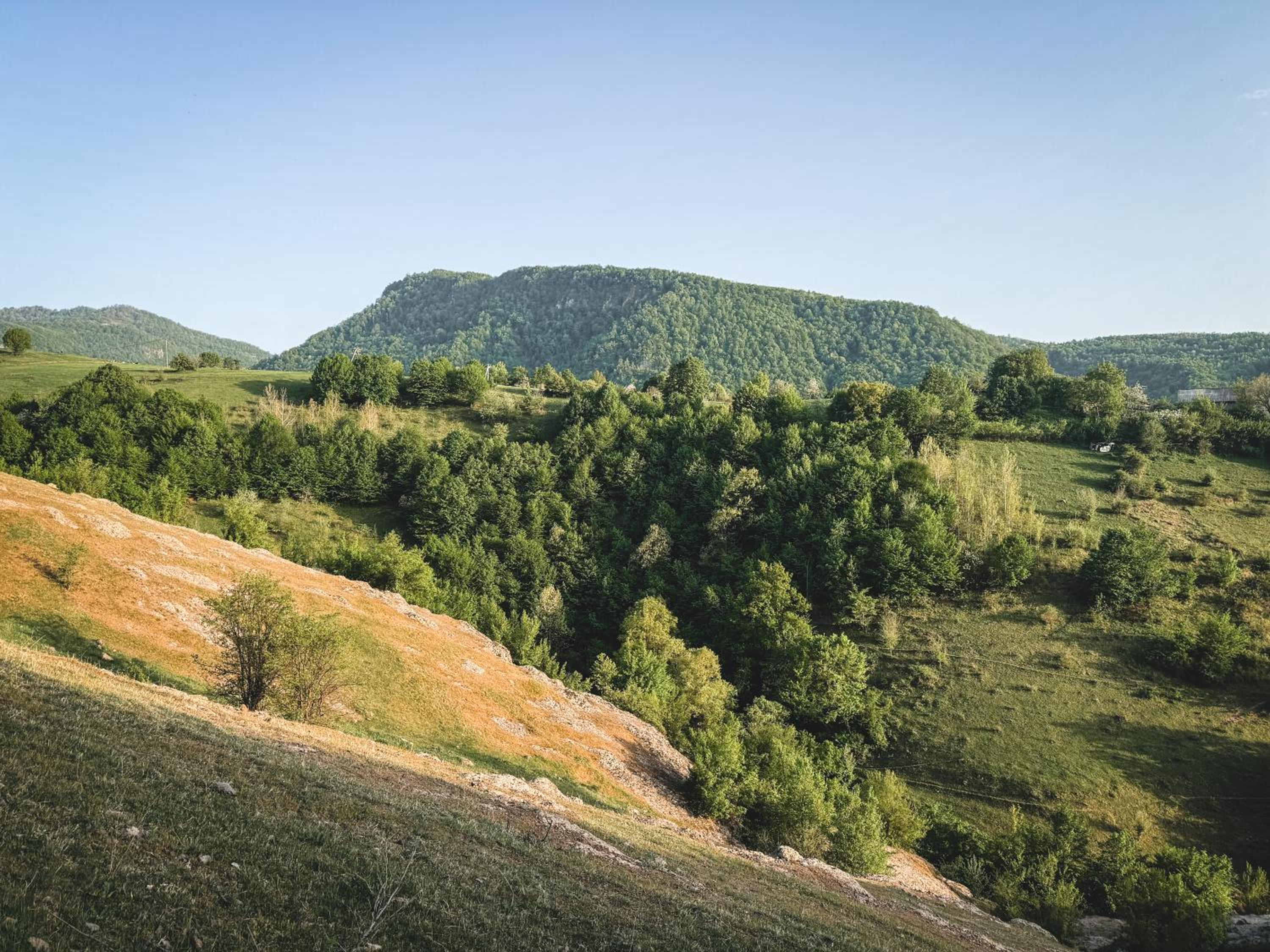 Debed Hillside