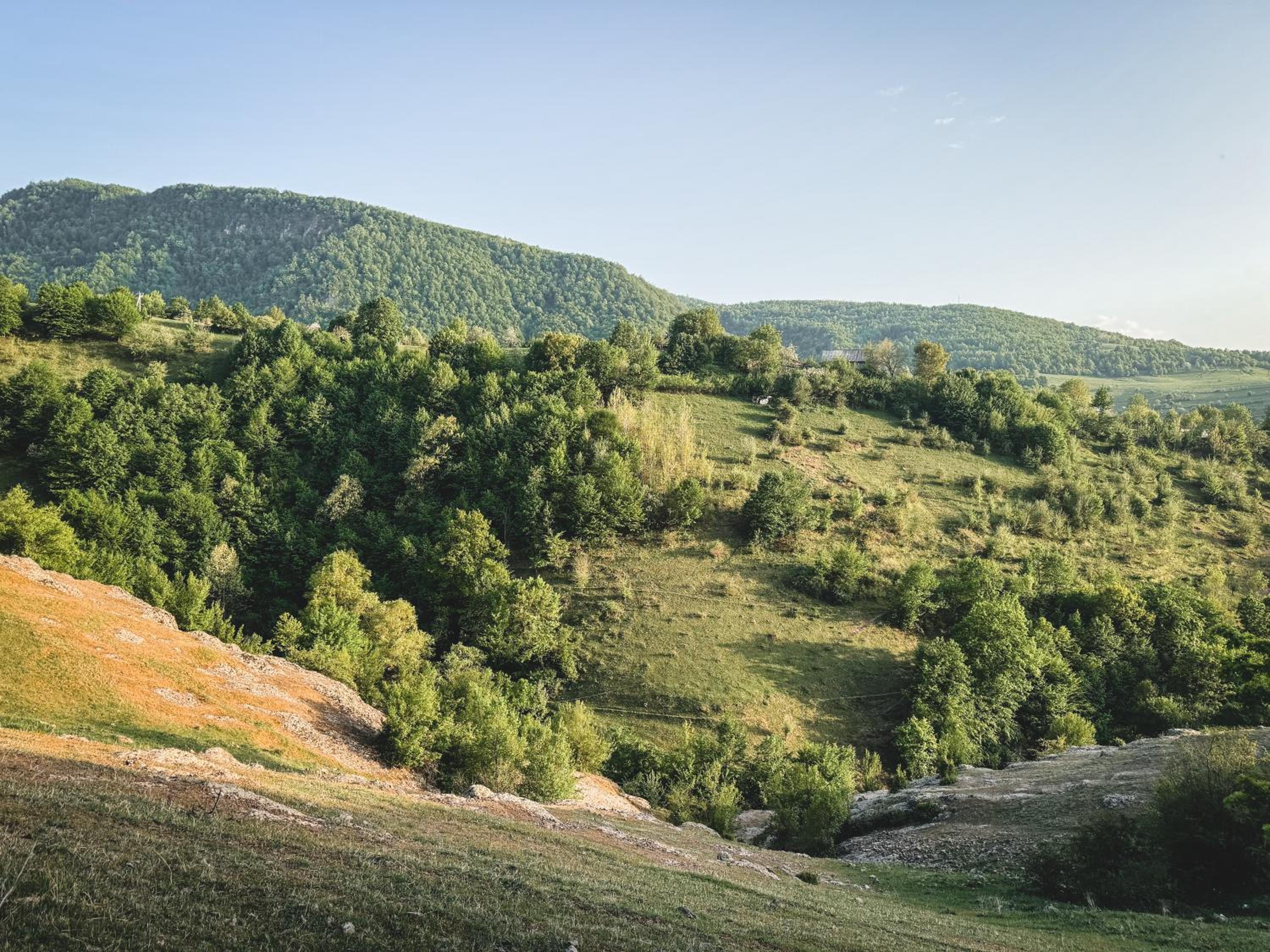 Debed Hillside