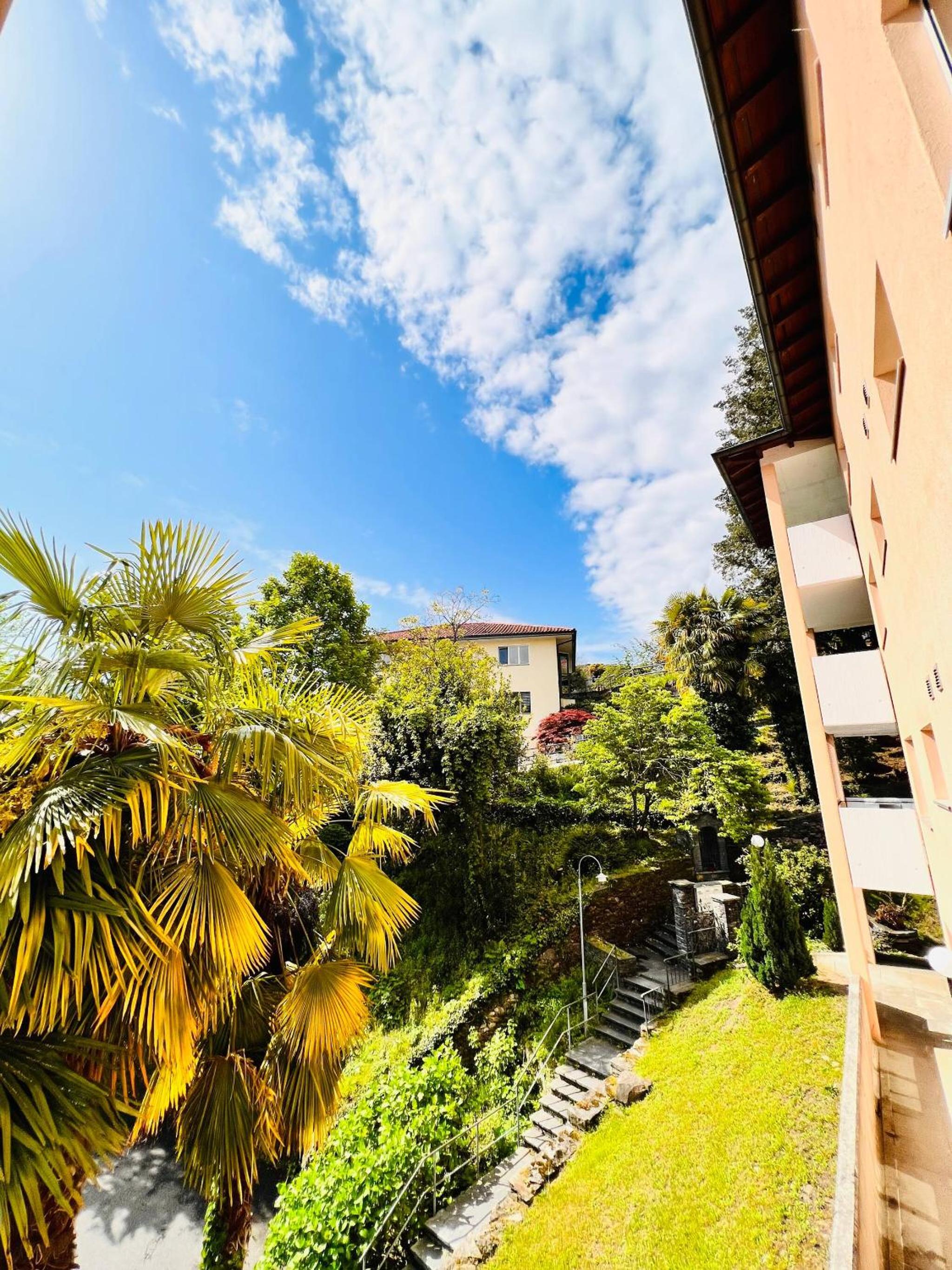 Enchanting View of lake Maggiore Mountains