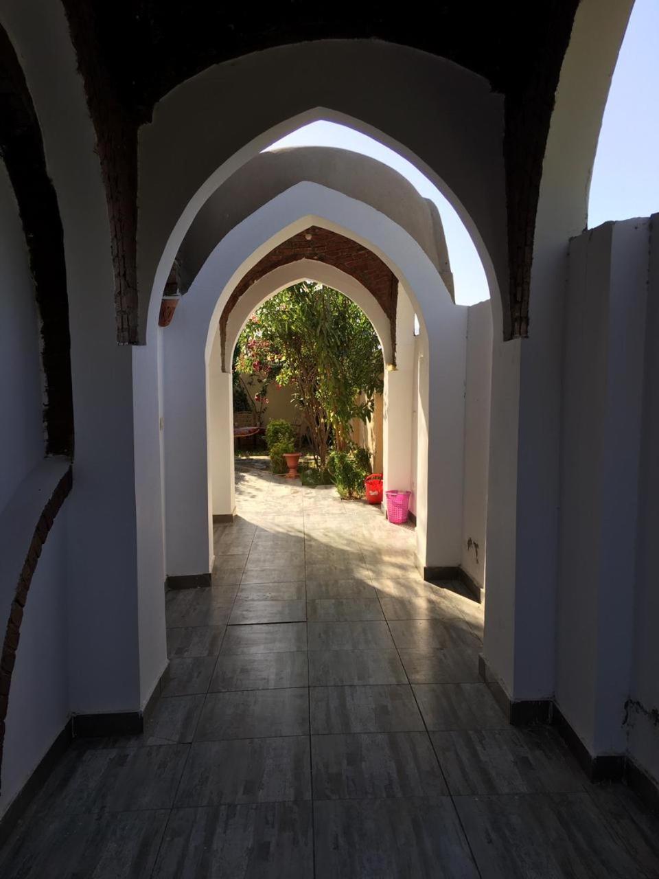 Garden view guest house
