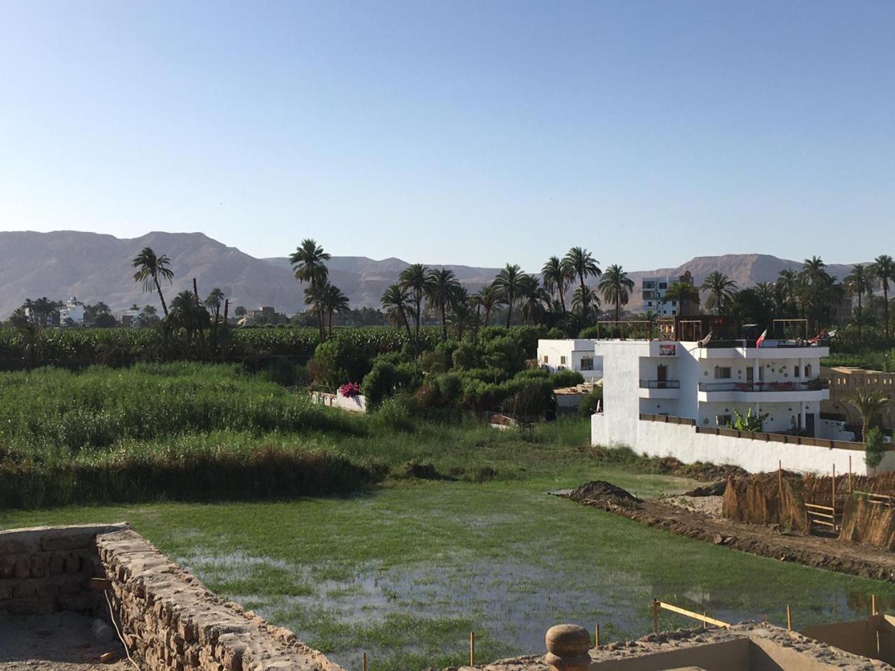 Garden view guest house