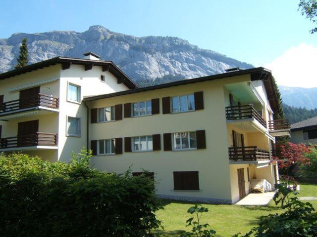 Photo 7