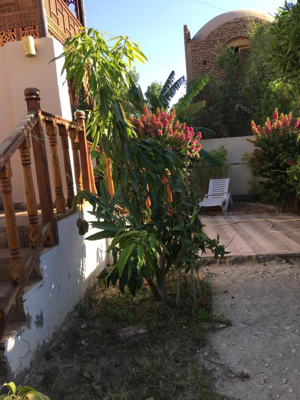 Garden view guest house