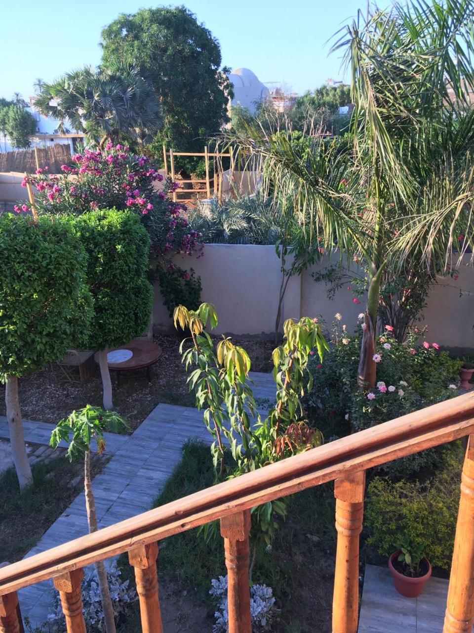 Garden view guest house