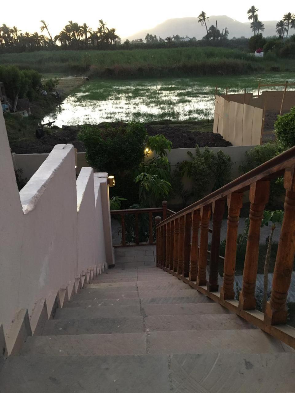 Garden view guest house