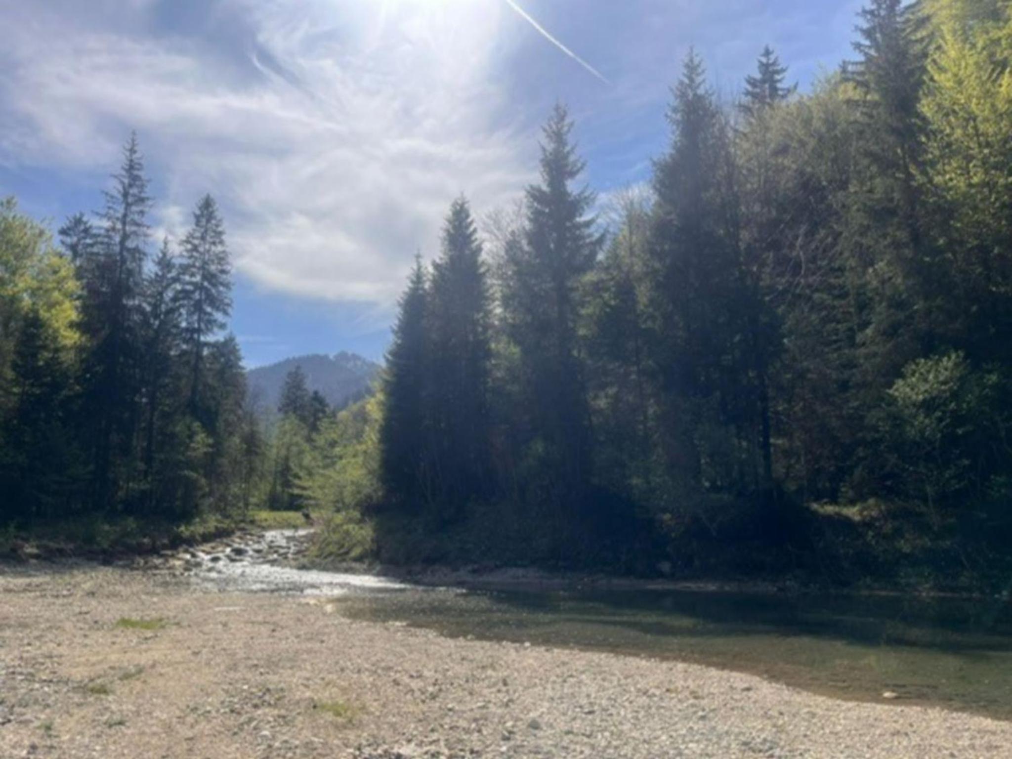 Alpen View