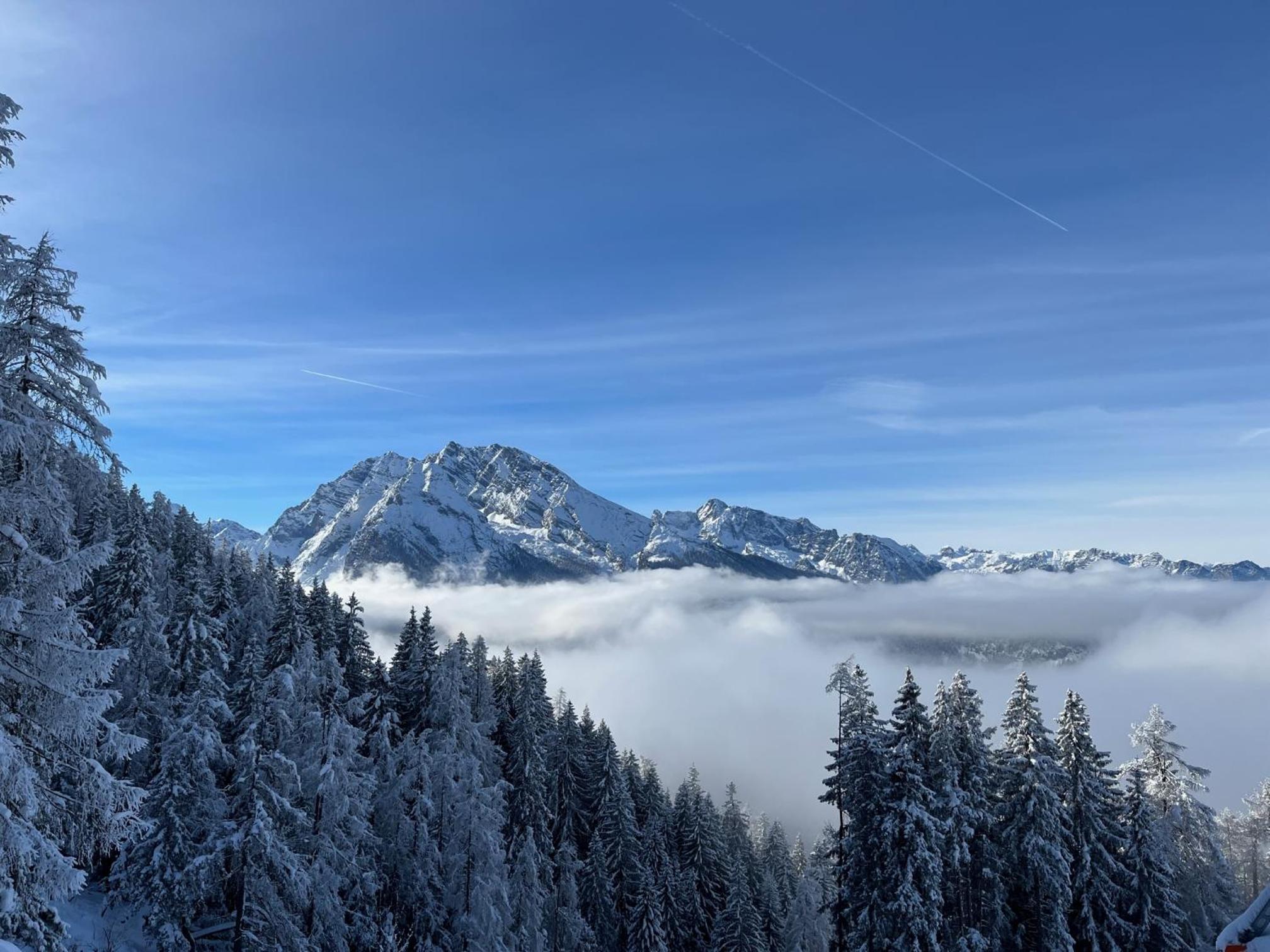 Ferienwohnung Alpenruhe