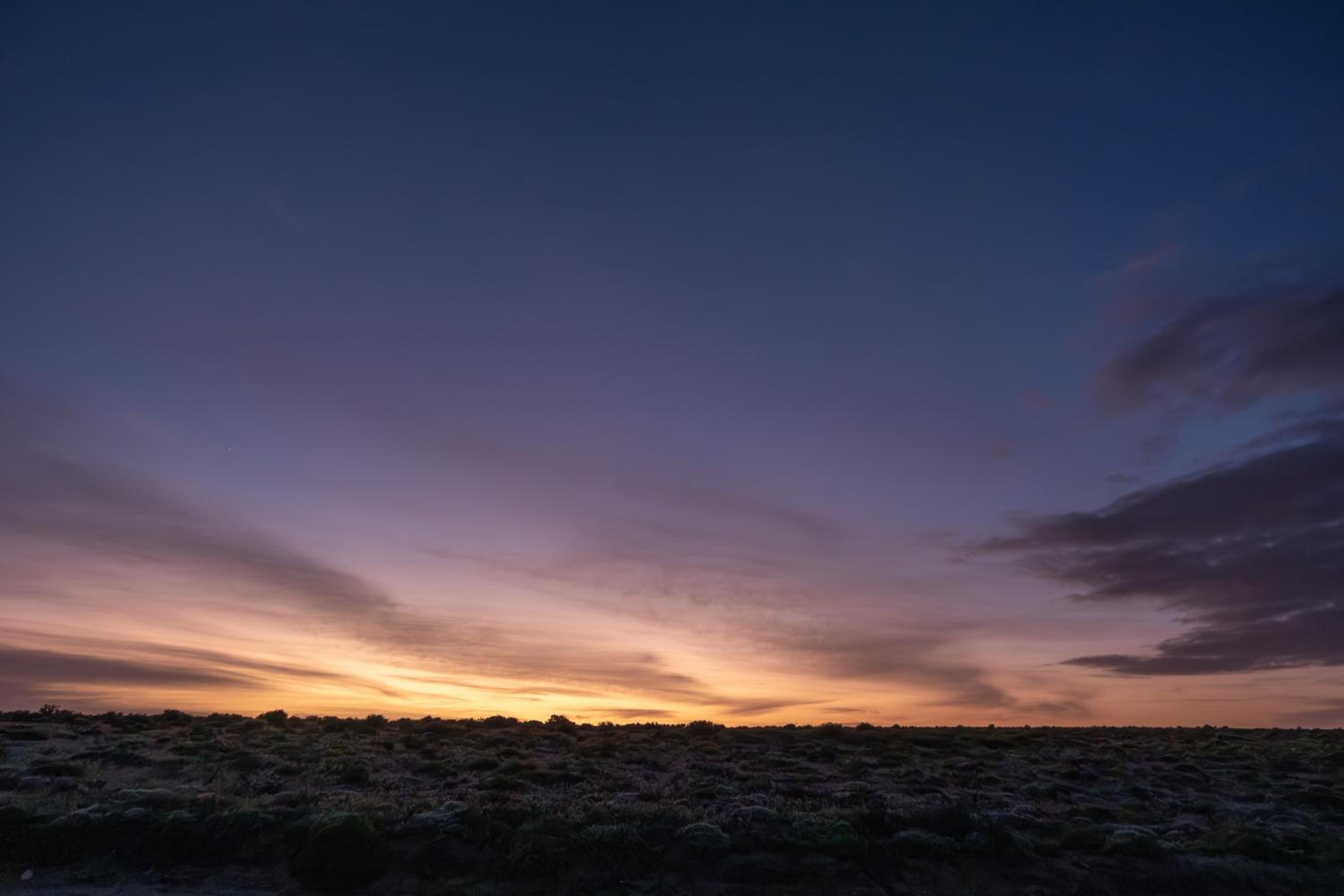 Namaqua Flowers Beach Camp