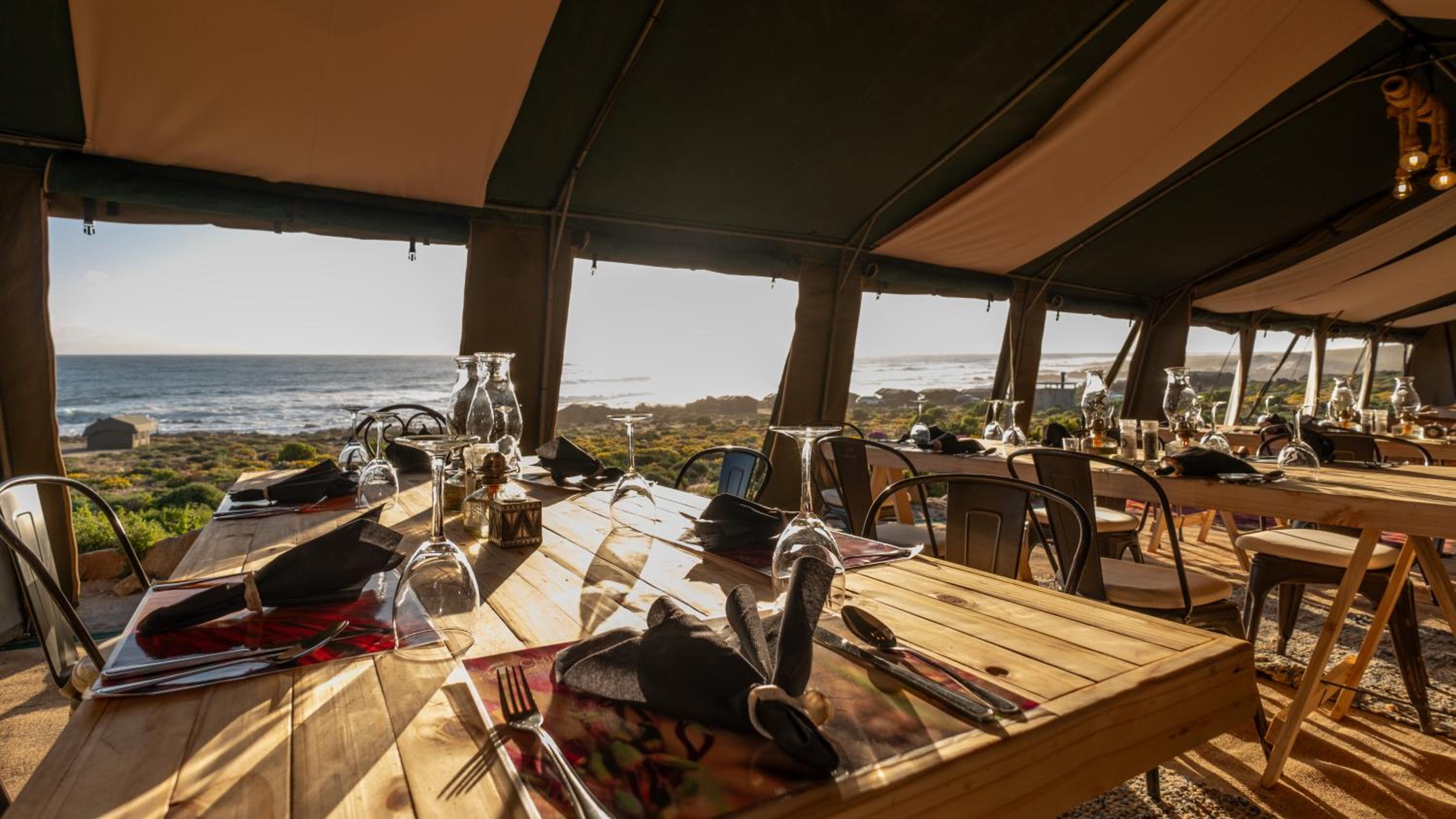 Namaqua Flowers Beach Camp