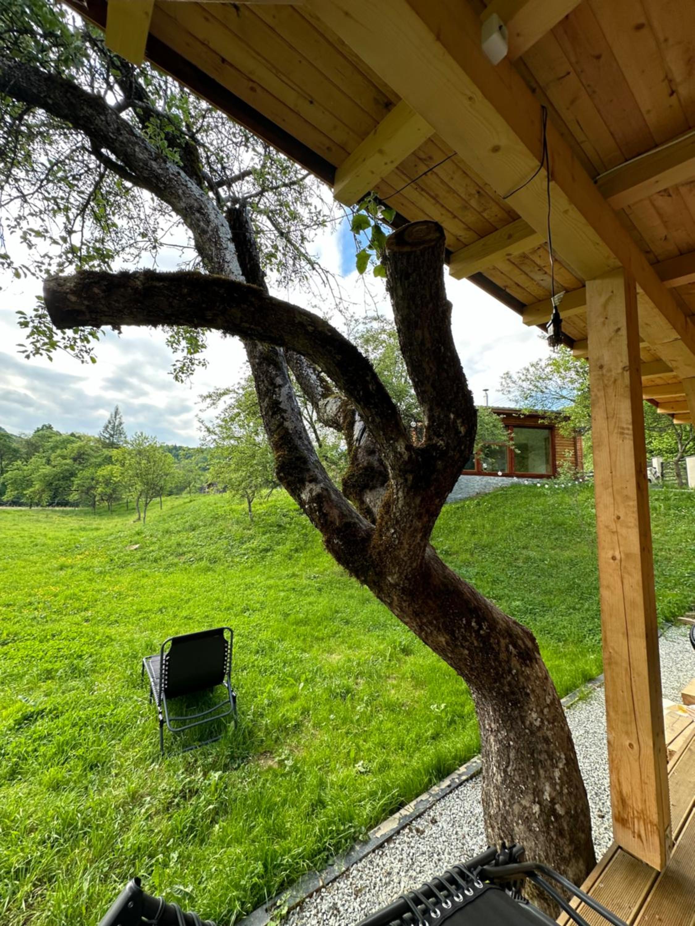 Biutiful Bungalow
