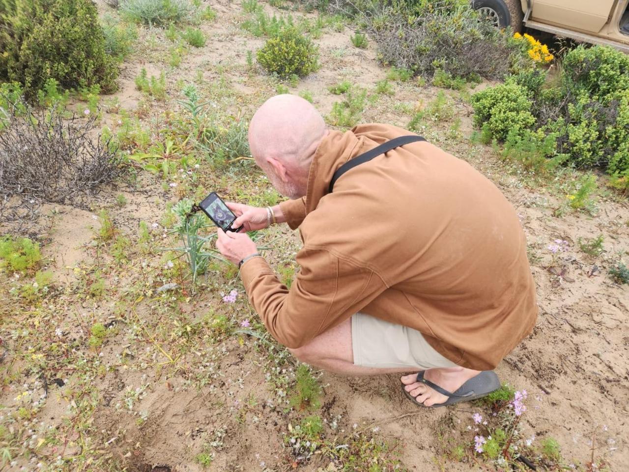 Namaqua Flowers Beach Camp