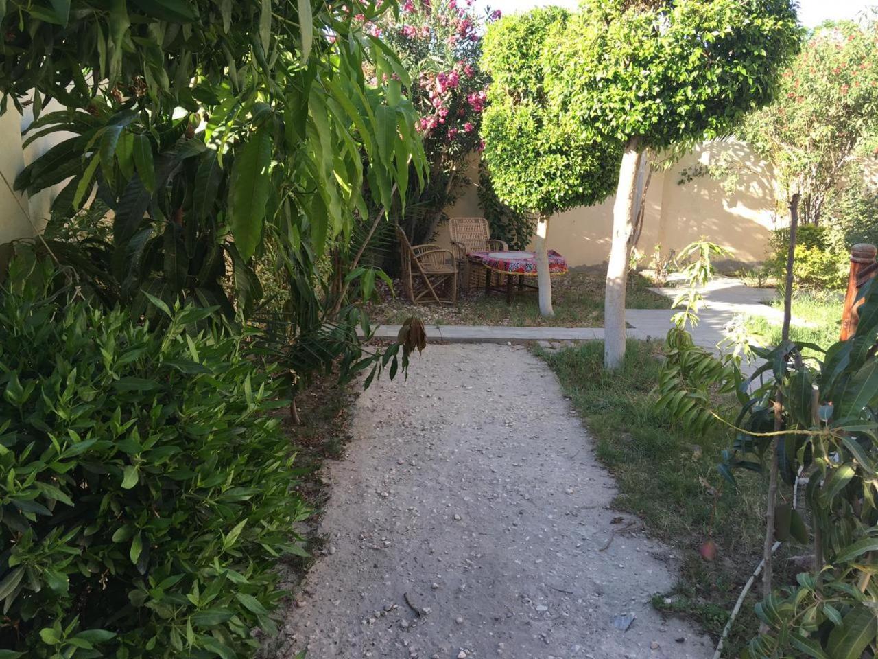 Garden view guest house