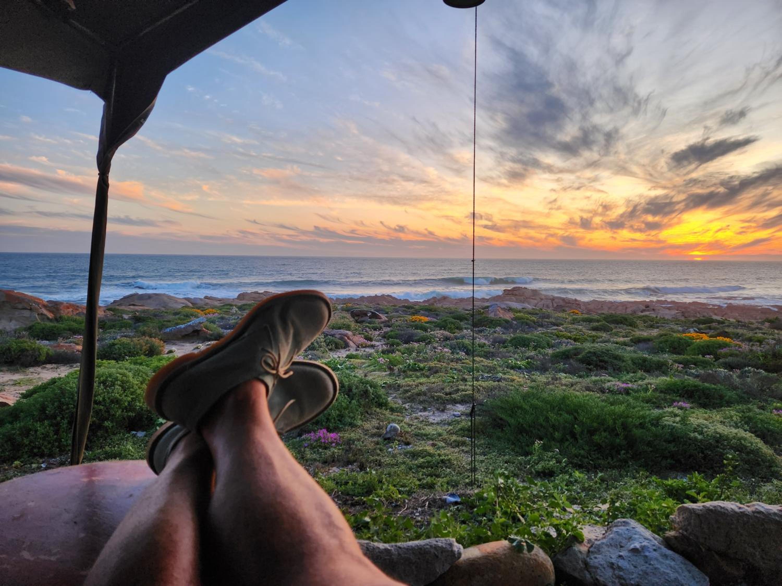 Namaqua Flowers Beach Camp