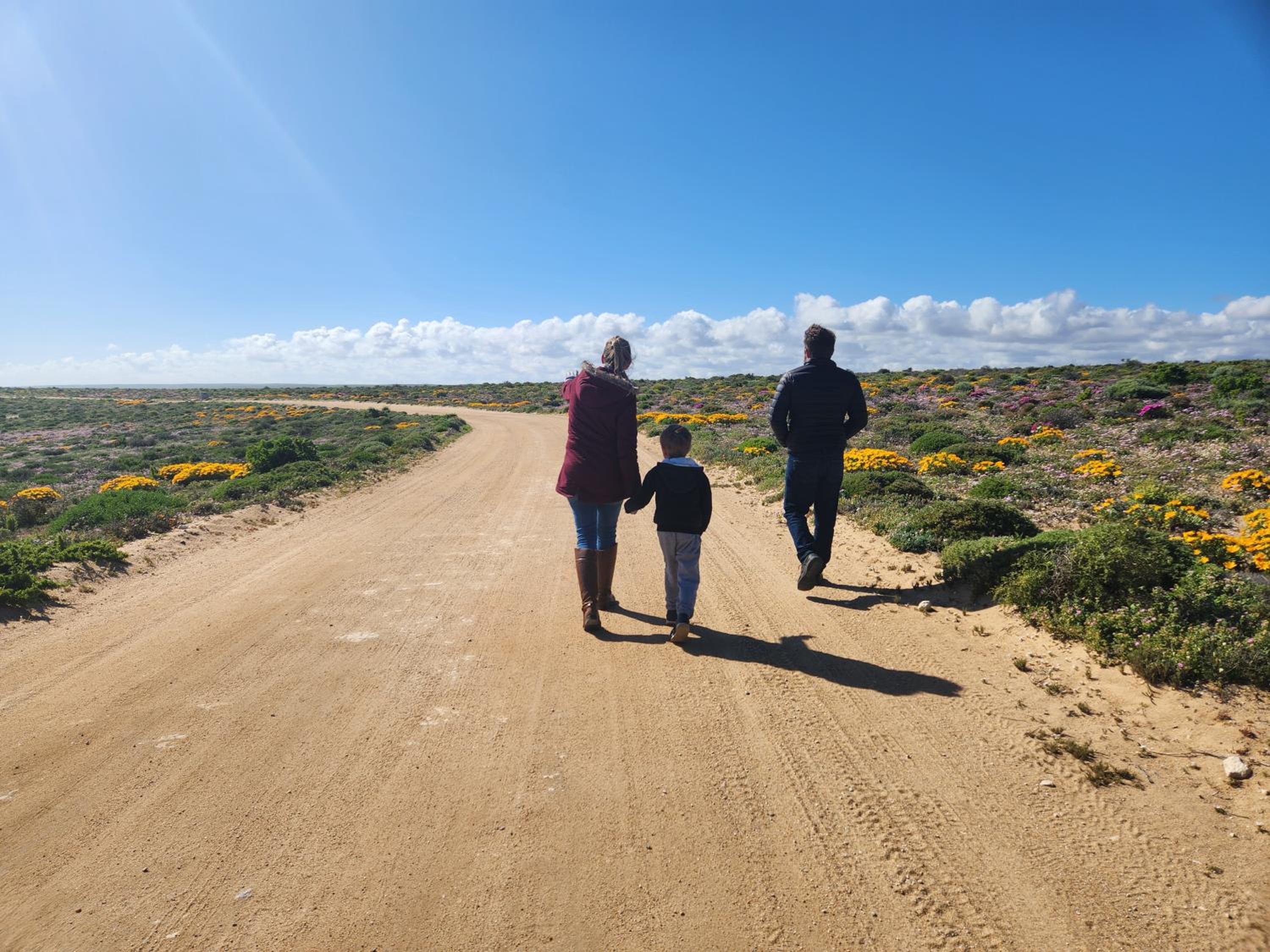 Namaqua Flowers Beach Camp