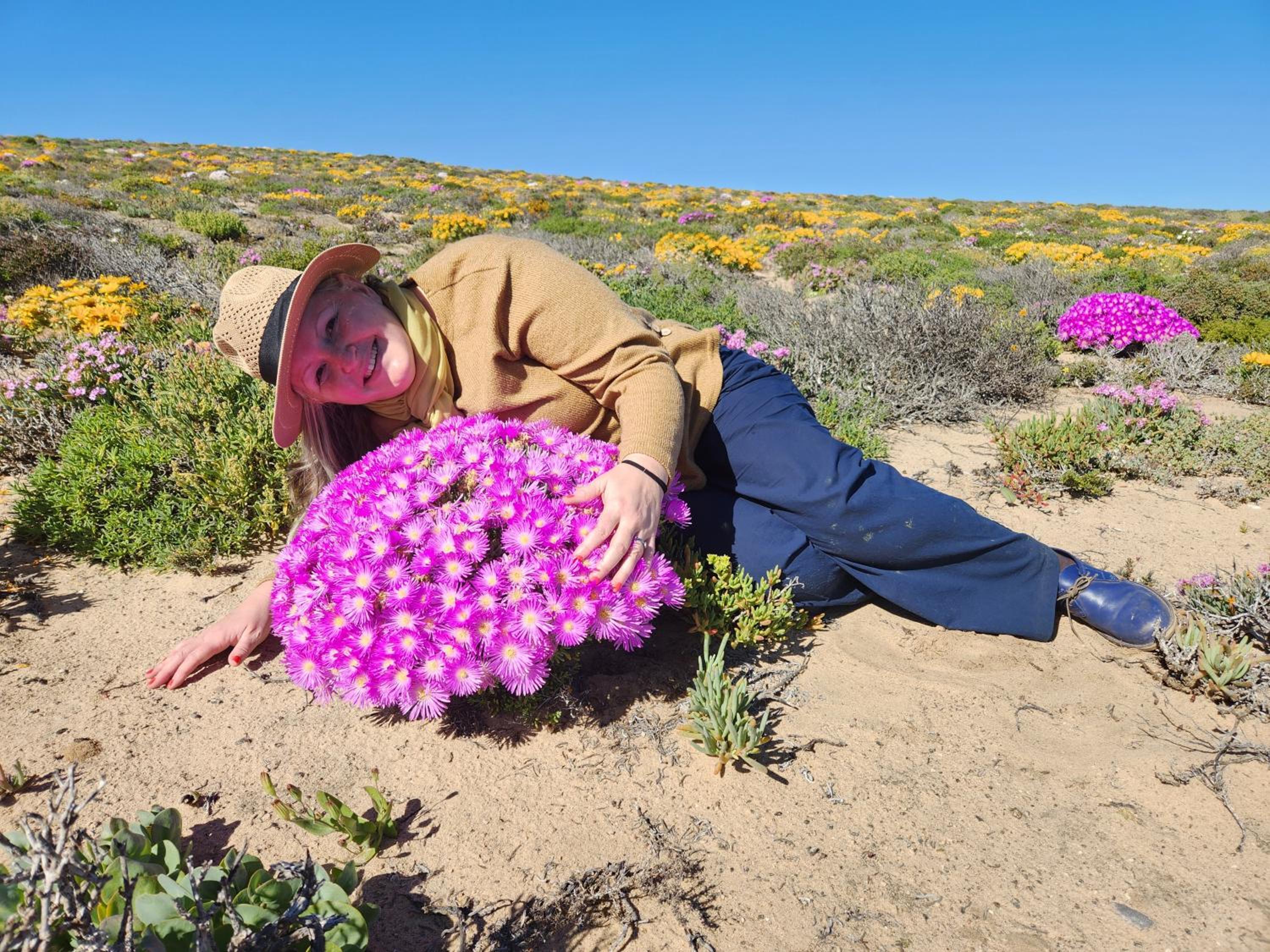 Namaqua Flowers Beach Camp