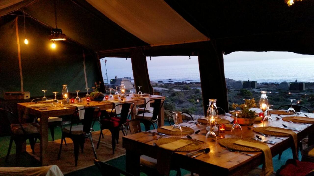 Namaqua Flowers Beach Camp