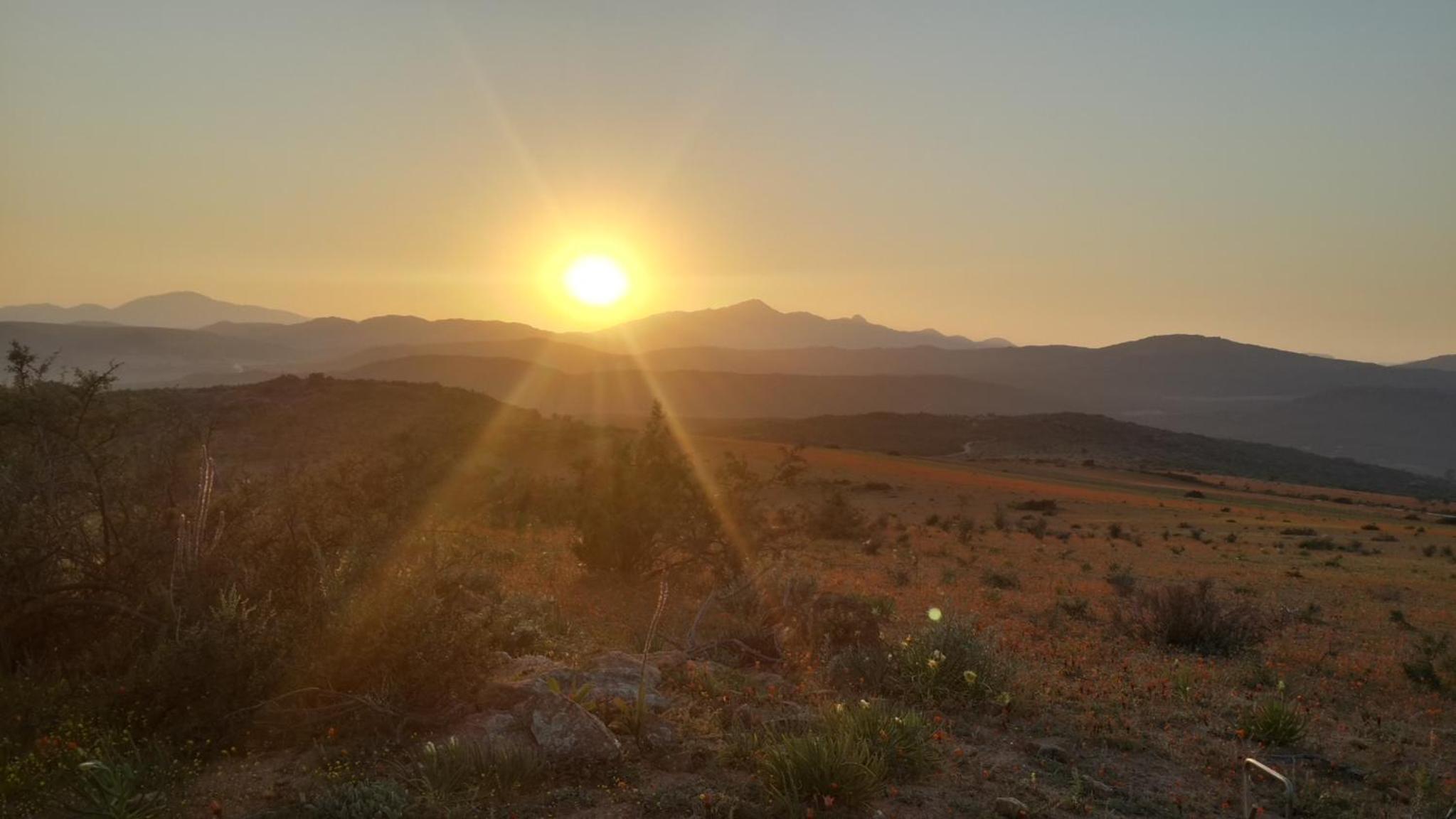 Namaqua Flowers Beach Camp