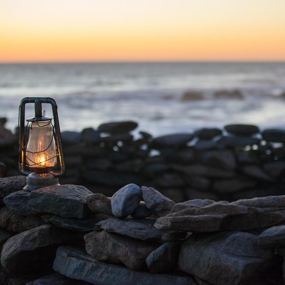 Namaqua Flowers Beach Camp