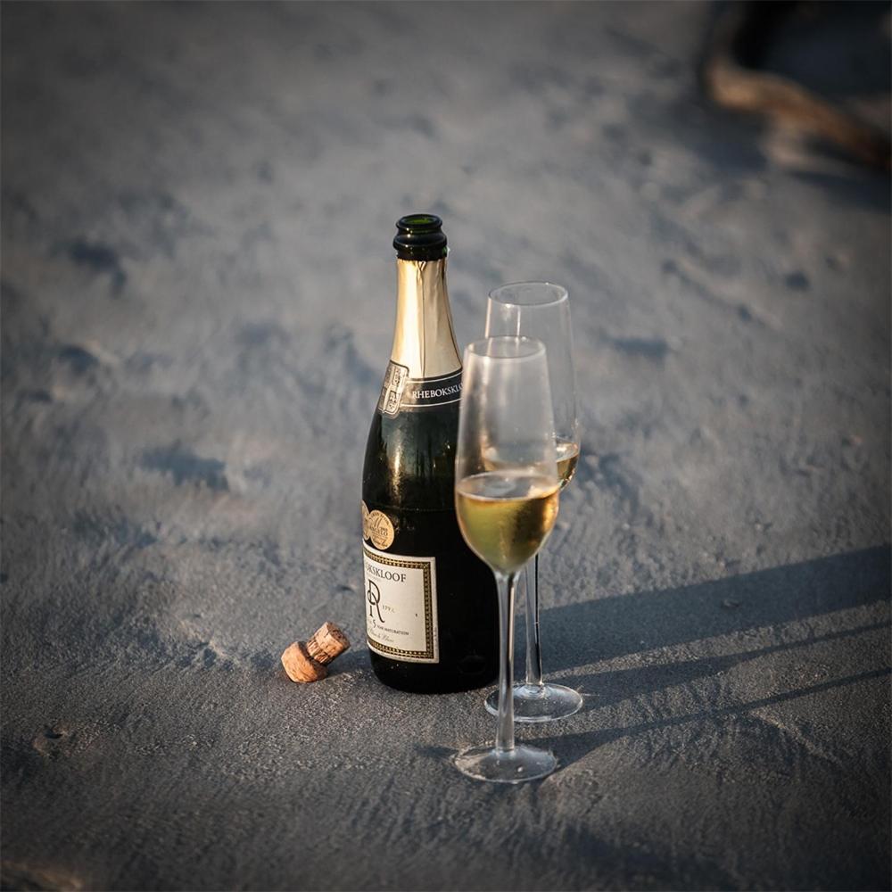 Namaqua Flowers Beach Camp