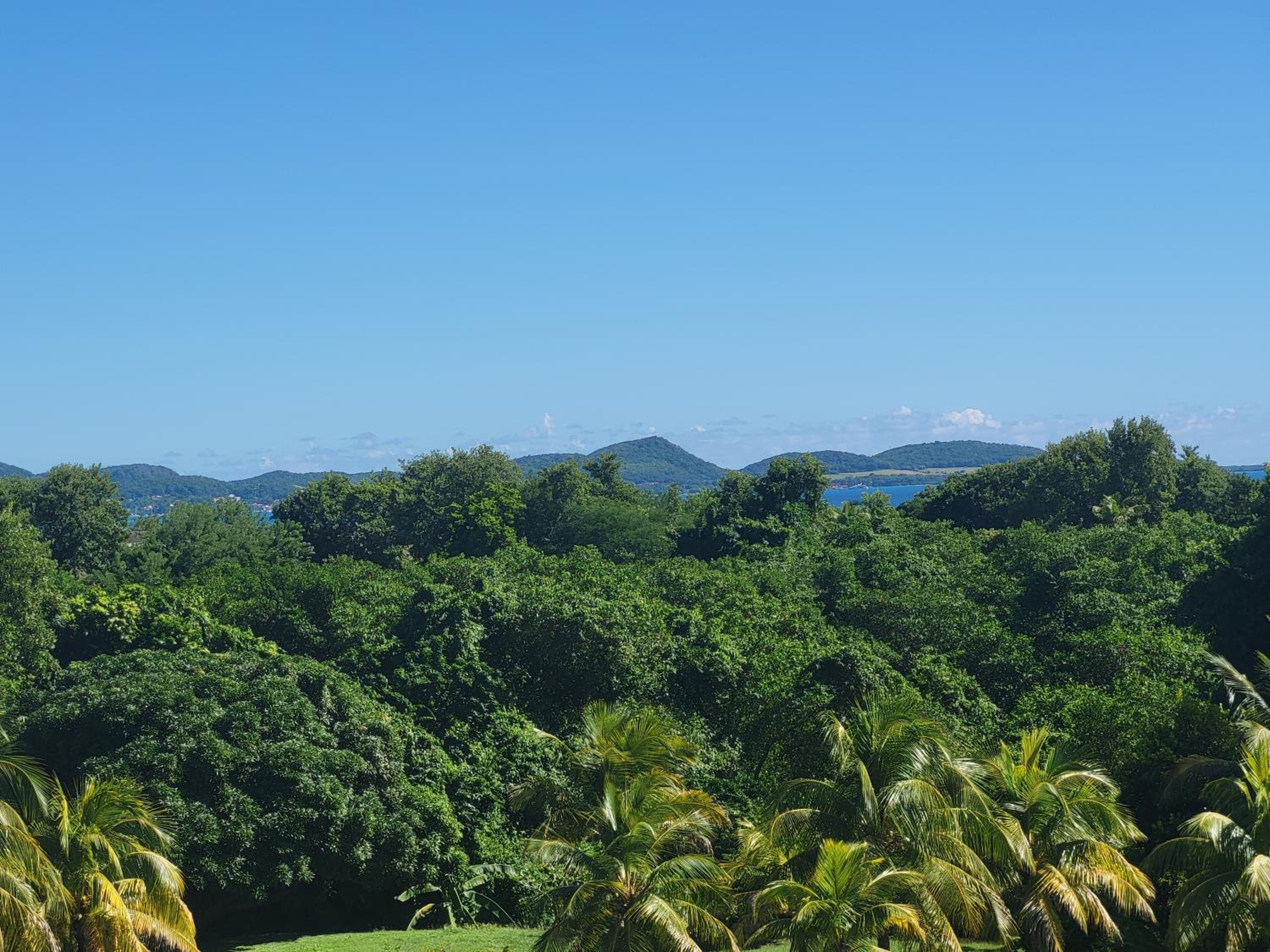 NEW ! Appartements avec piscine et plages accessibles à pieds view 3