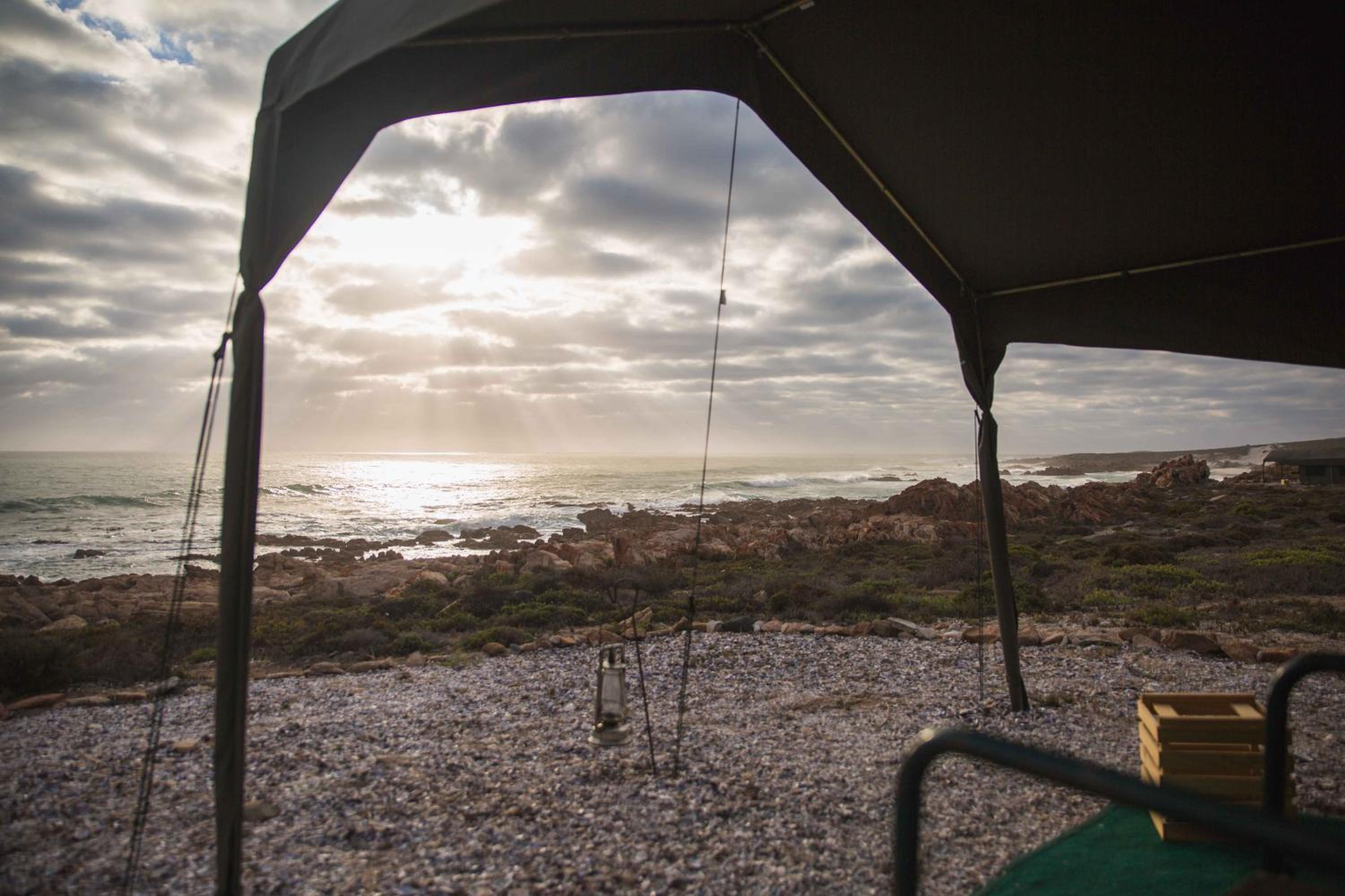Namaqua Flowers Beach Camp