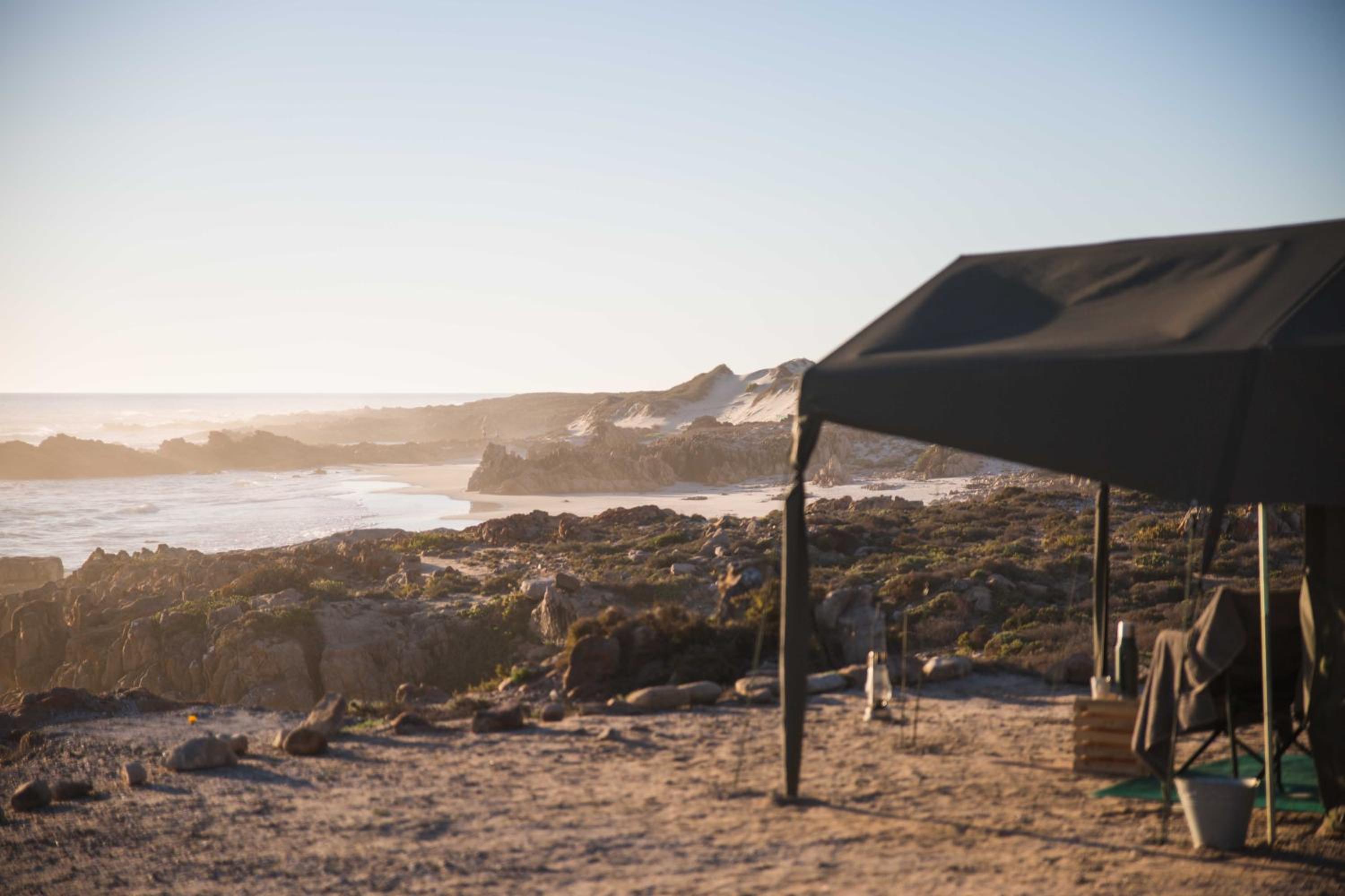 Namaqua Flowers Beach Camp