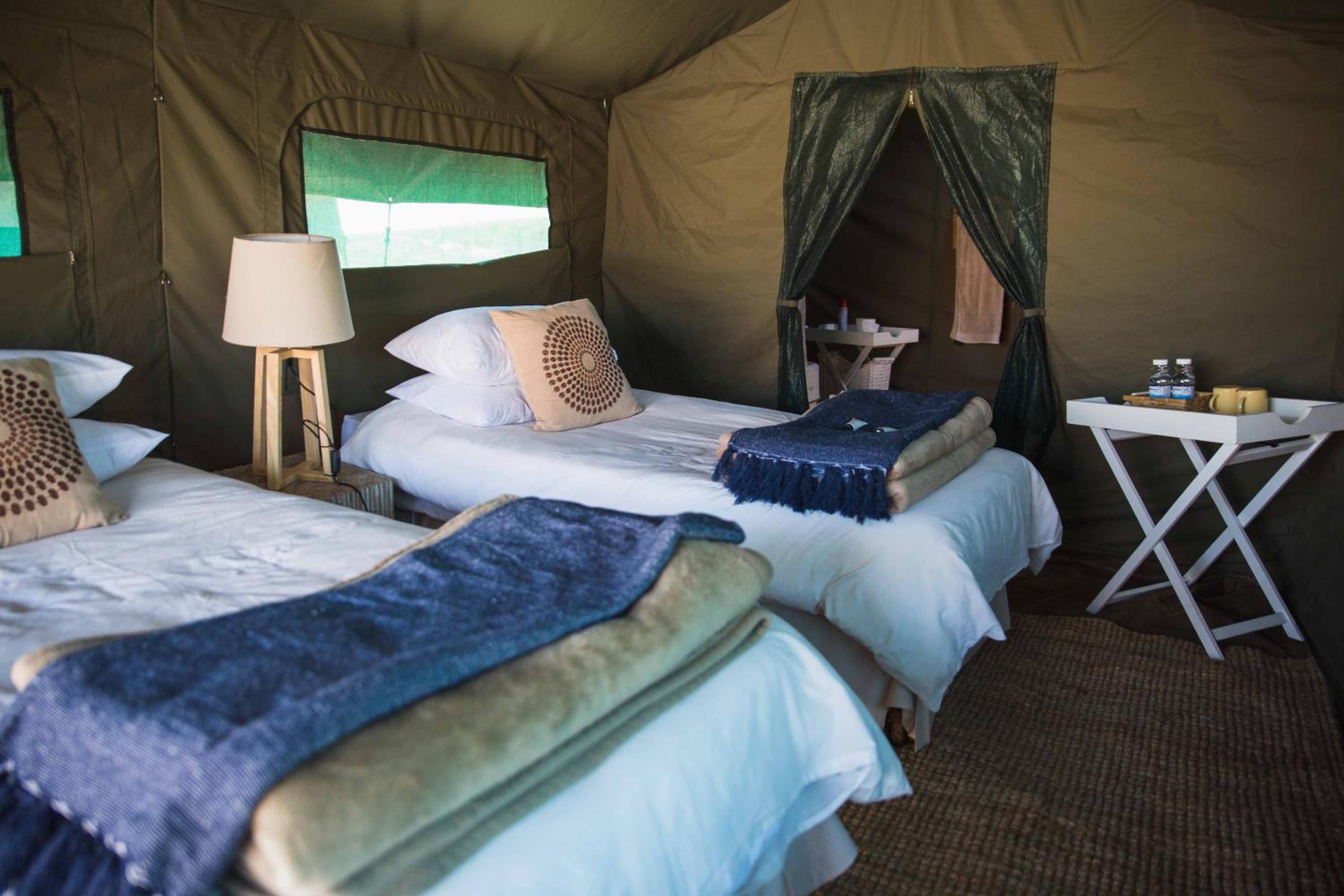 Namaqua Flowers Beach Camp