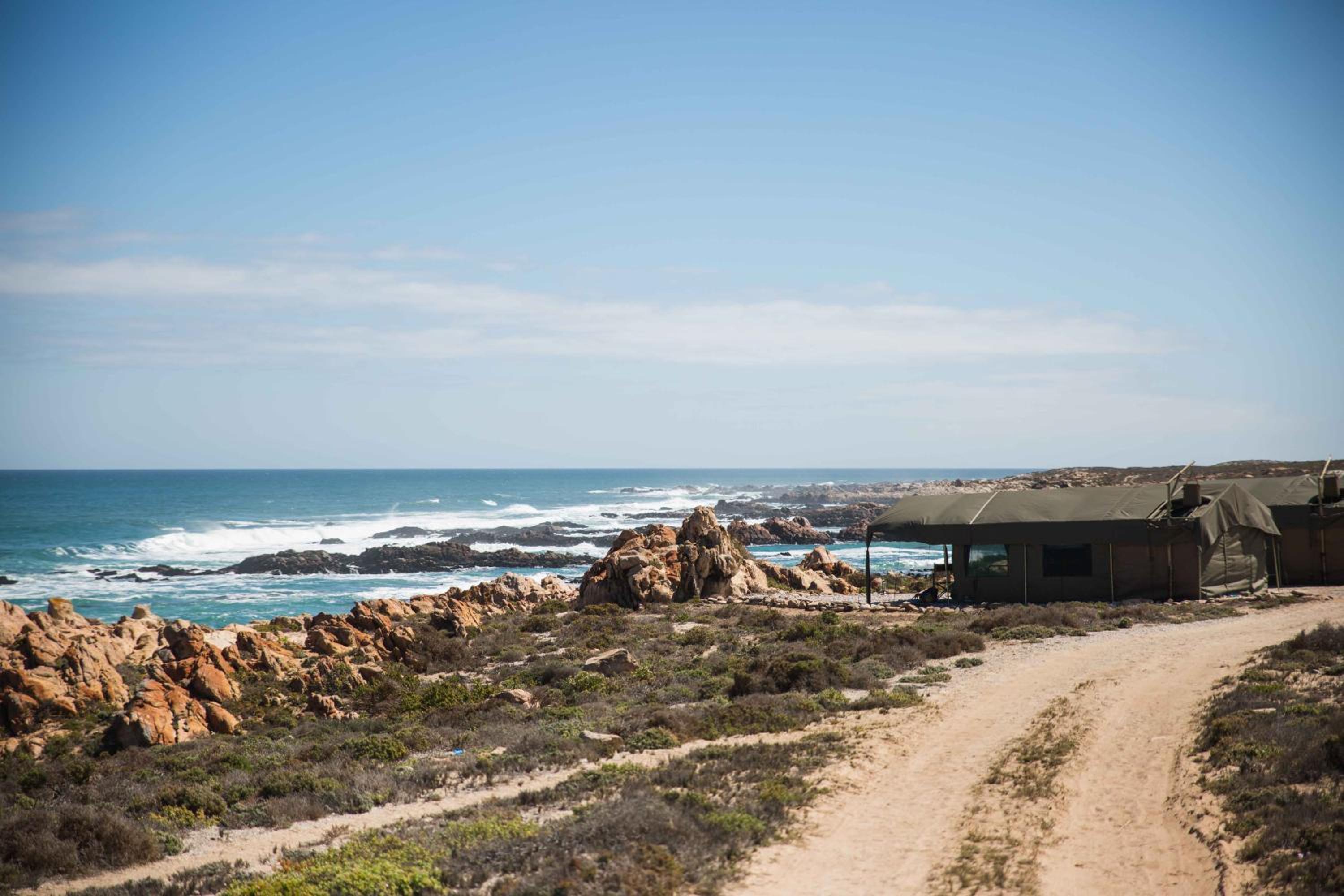 Namaqua Flowers Beach Camp