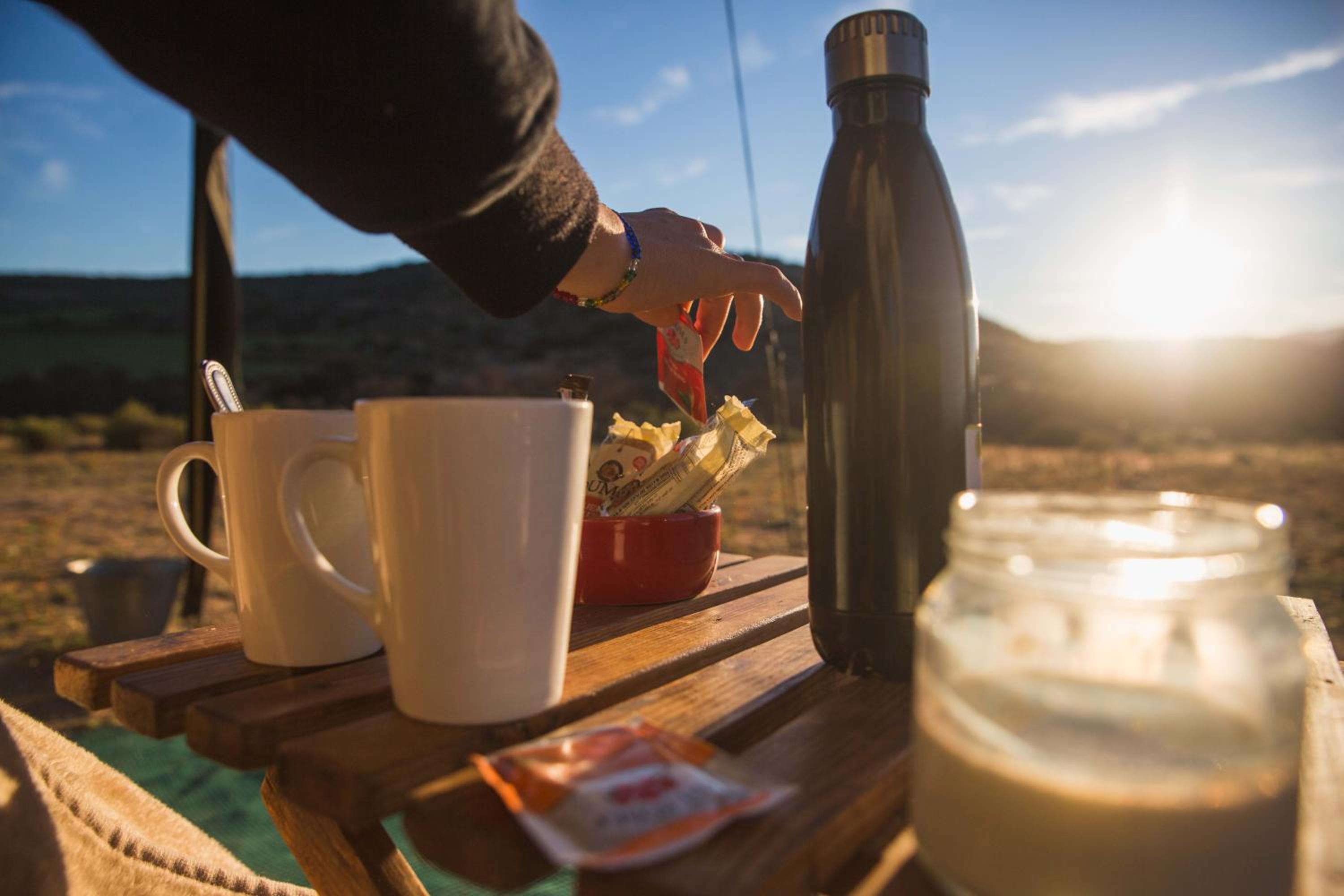 Namaqua Flowers Beach Camp