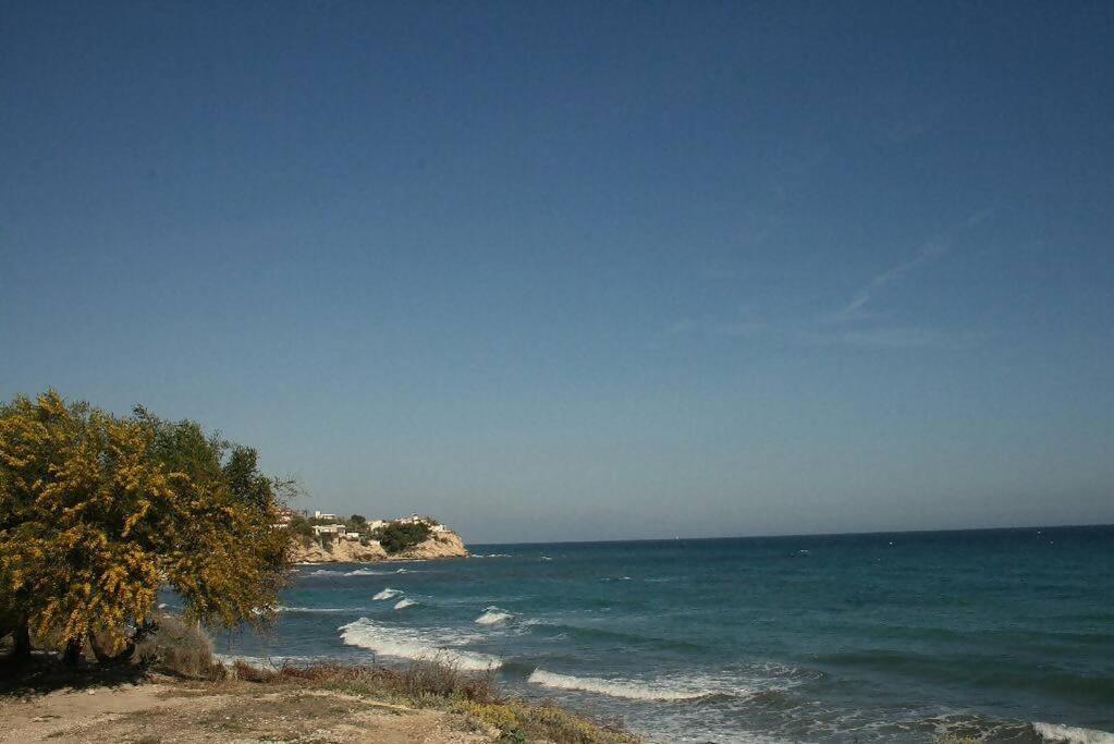 Alkabir townhouse El Campello