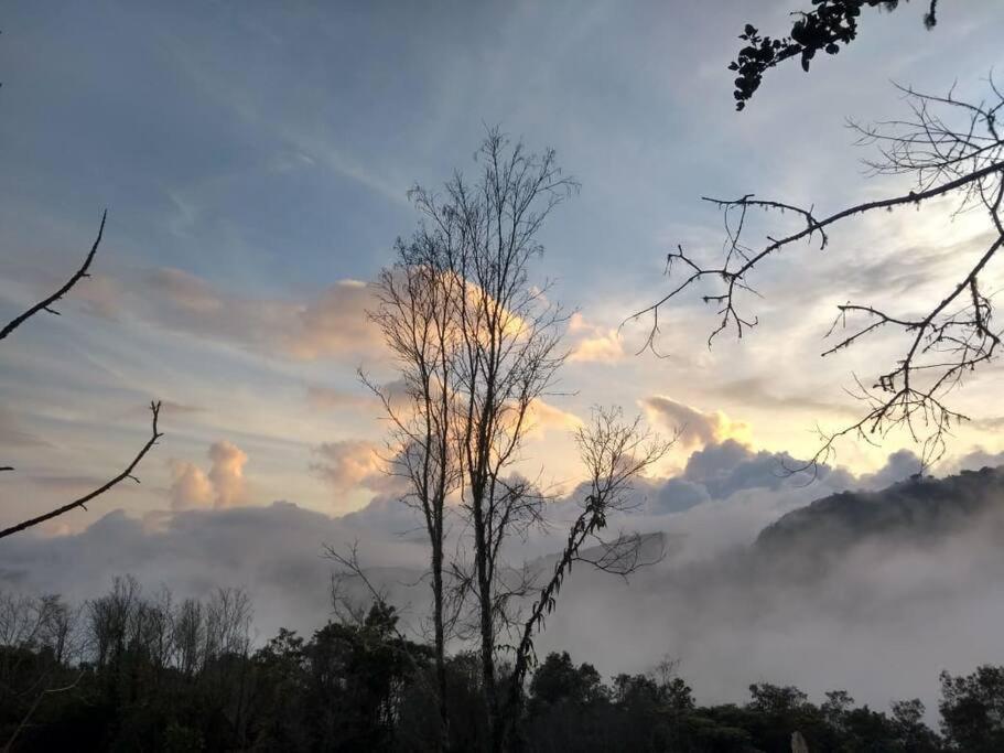 A ver Aves, mágico lugar.