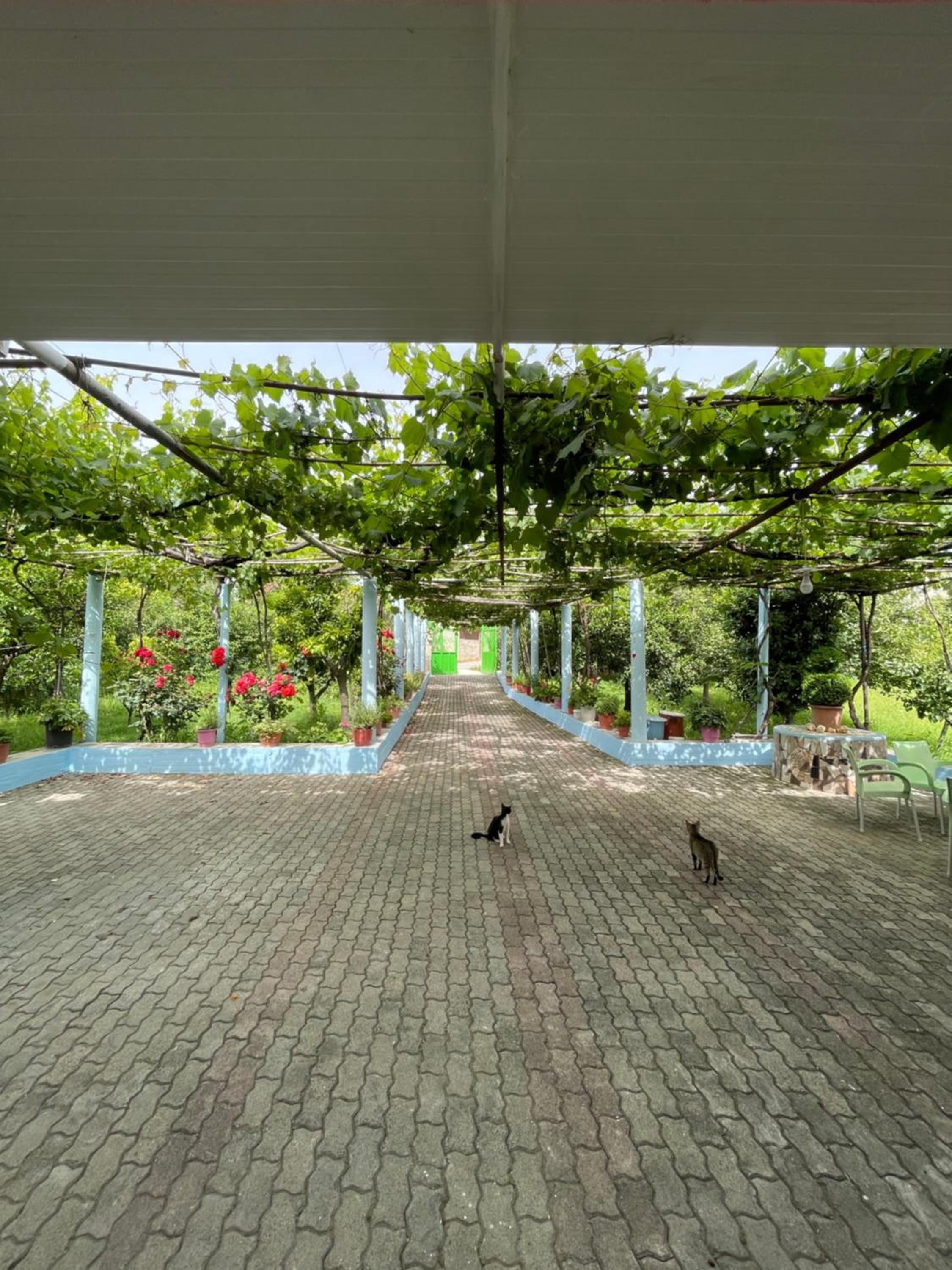 Villa Mance