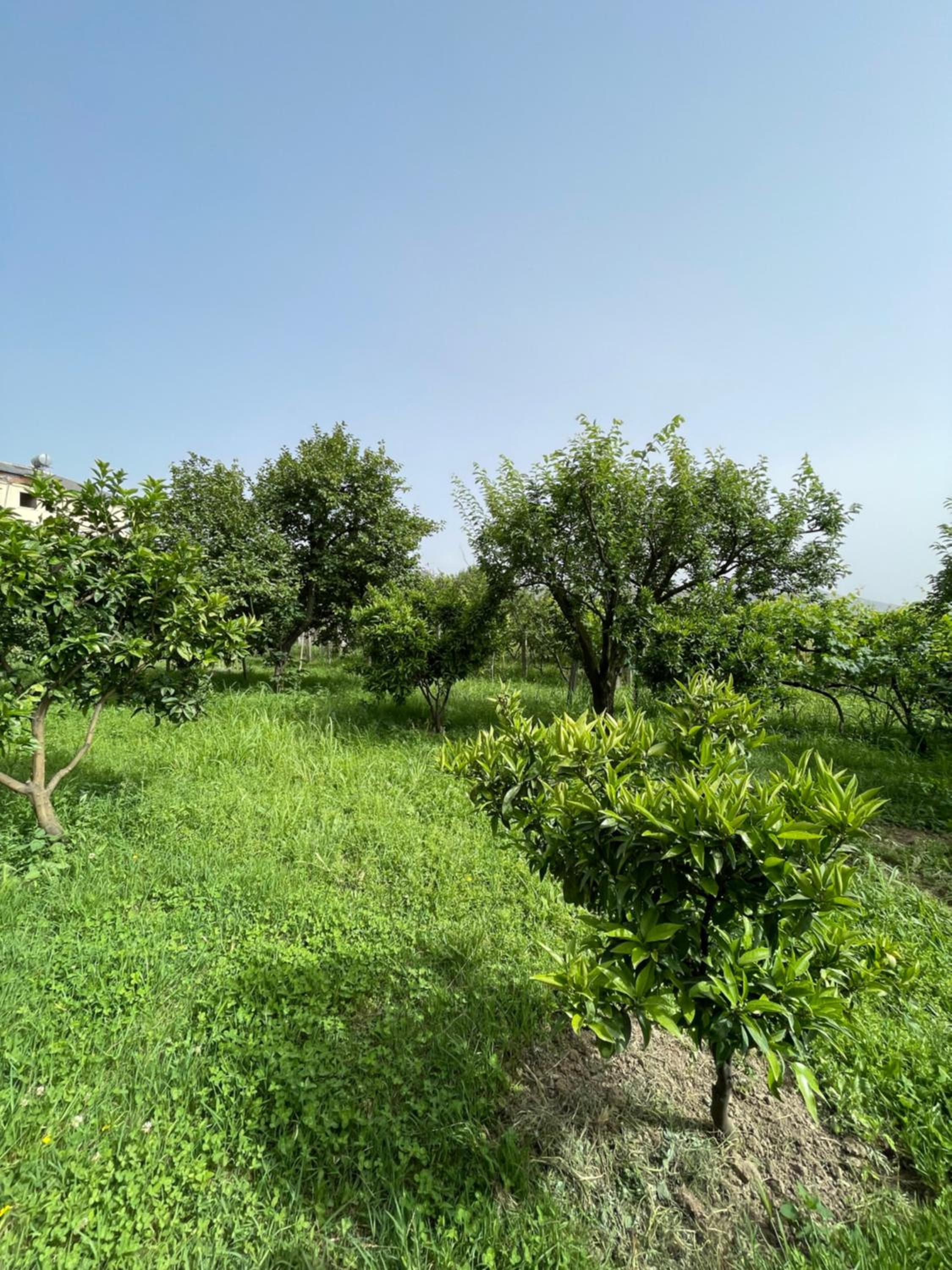 Villa Mance