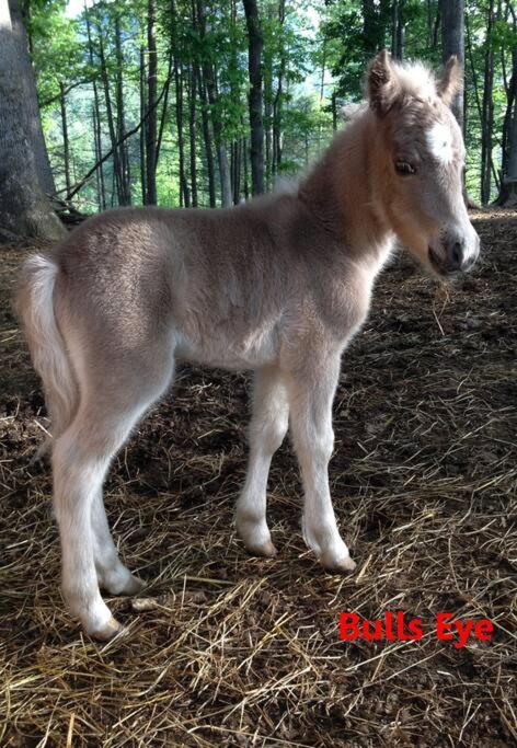 other