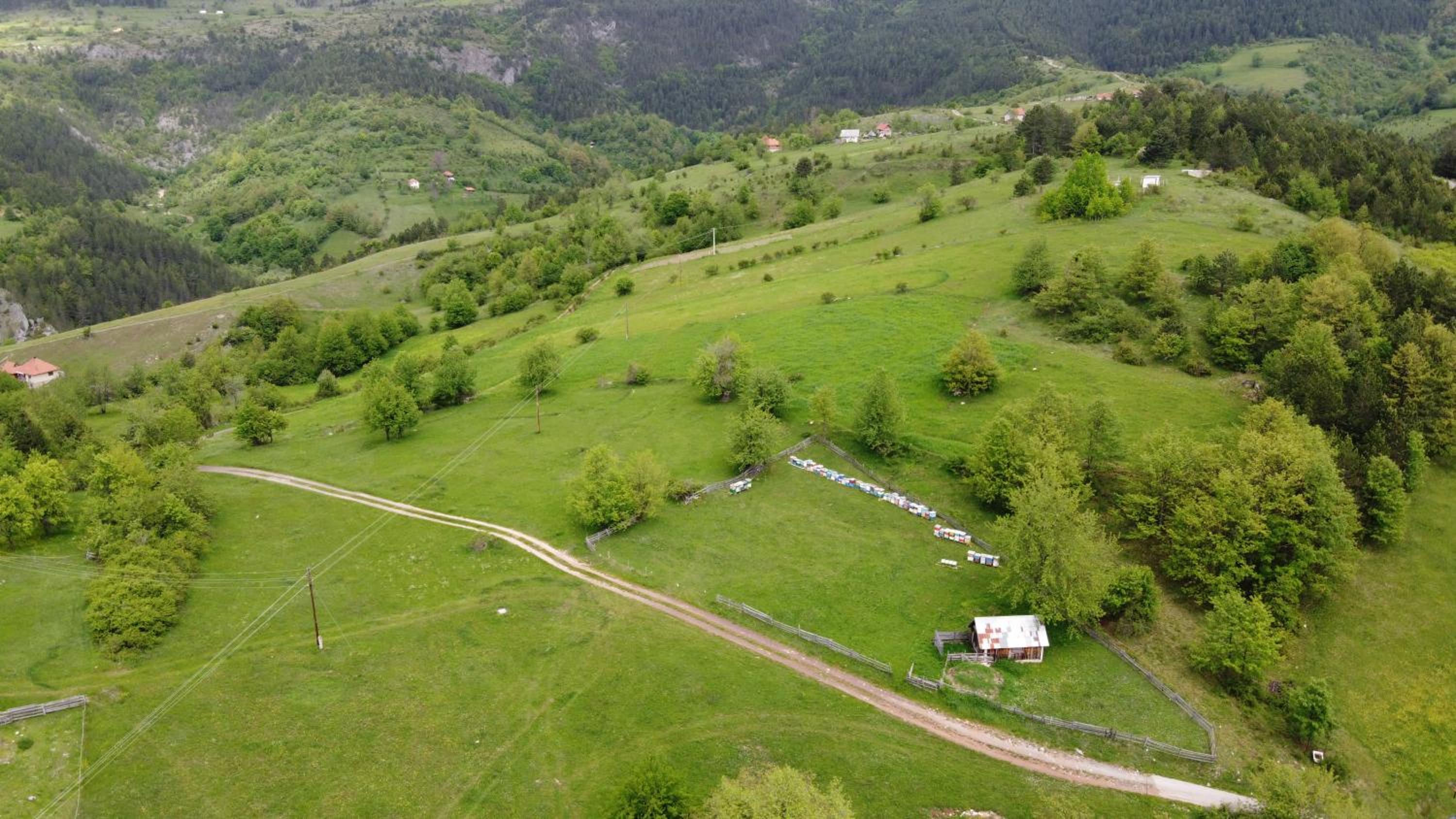 AA Pine vikendica za izdavanje u srcu Zapadne Srbije