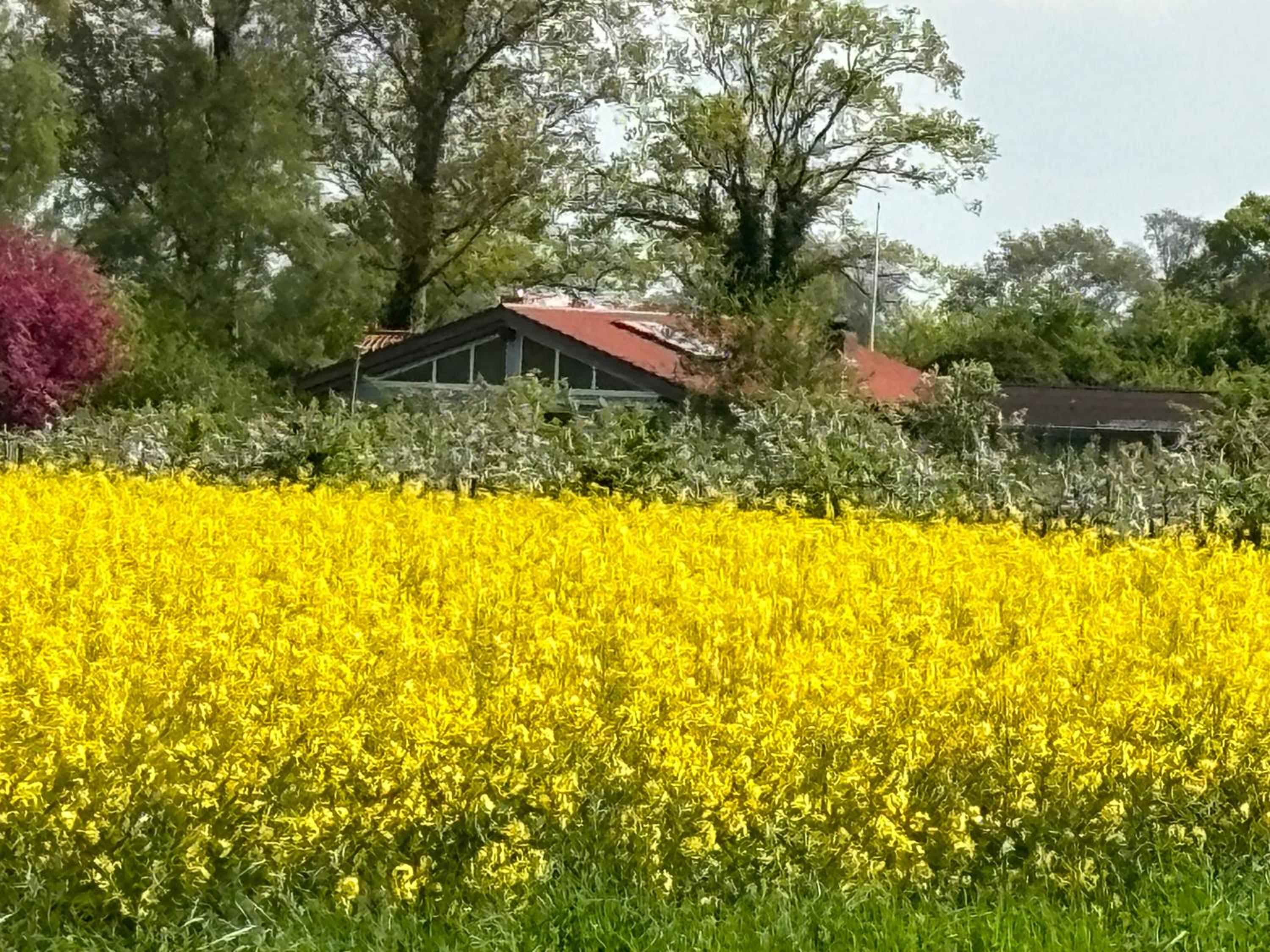Ferienhaus-Apfelblick
