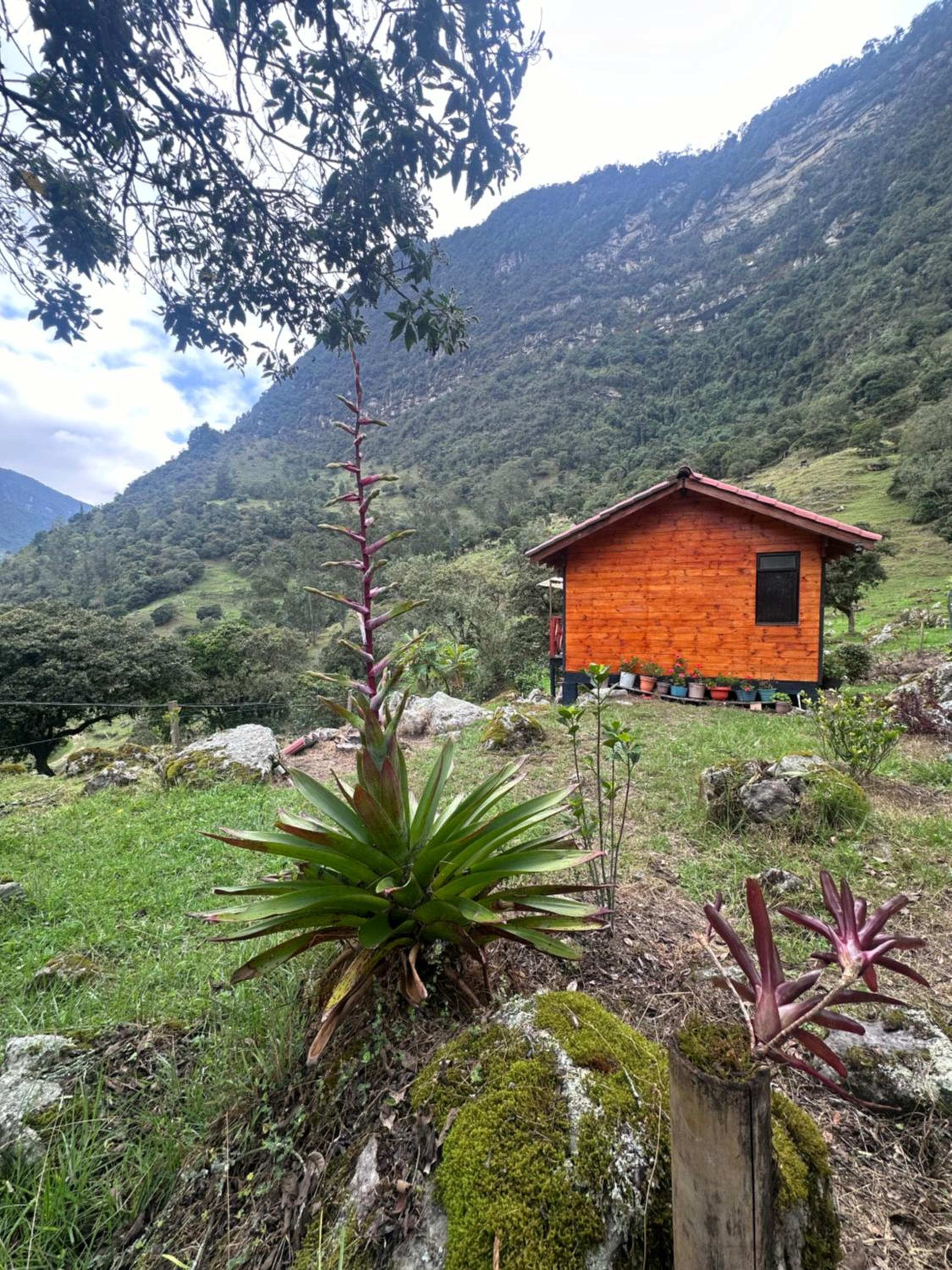 Rincón Entre Piedras-Cabaña Entre Montañas